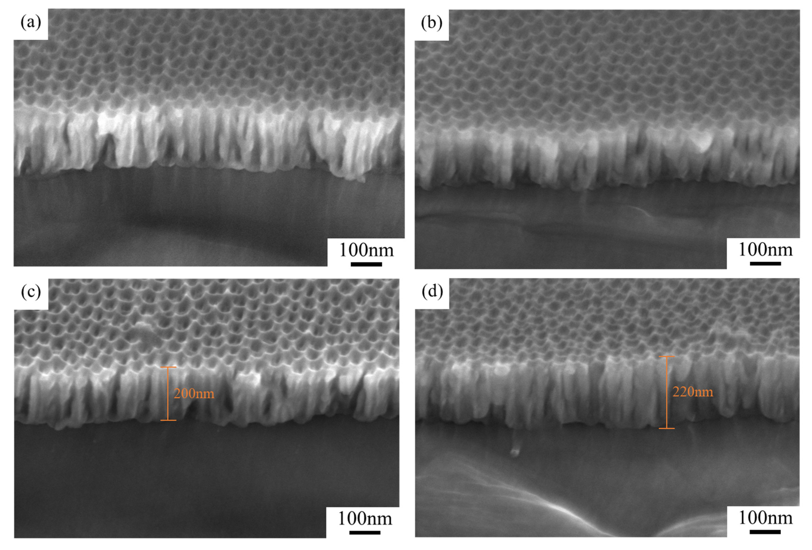 Nanomaterials 15 00890 g006