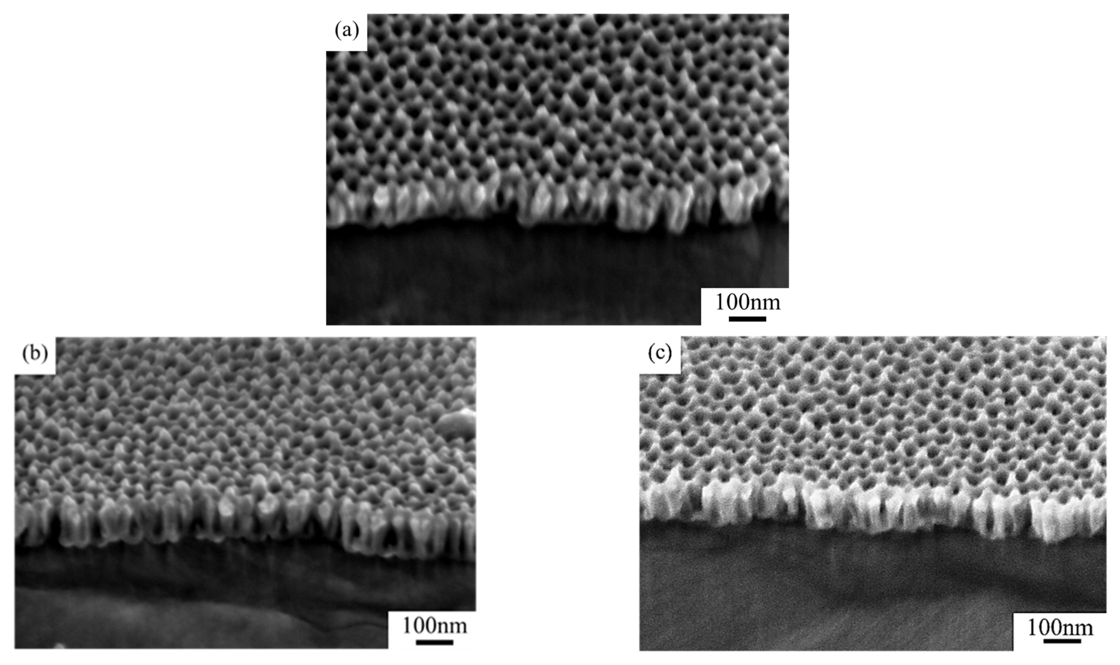 Nanomaterials 15 00890 g007