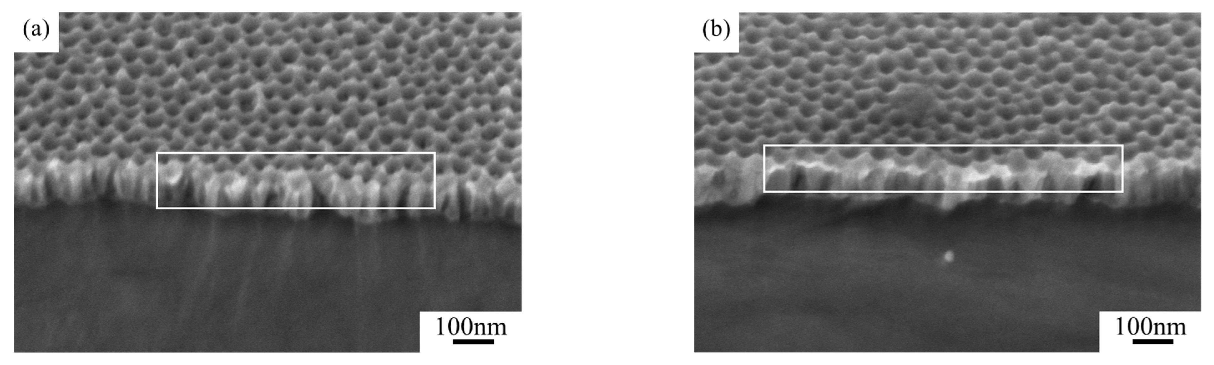 Nanomaterials 15 00890 g009