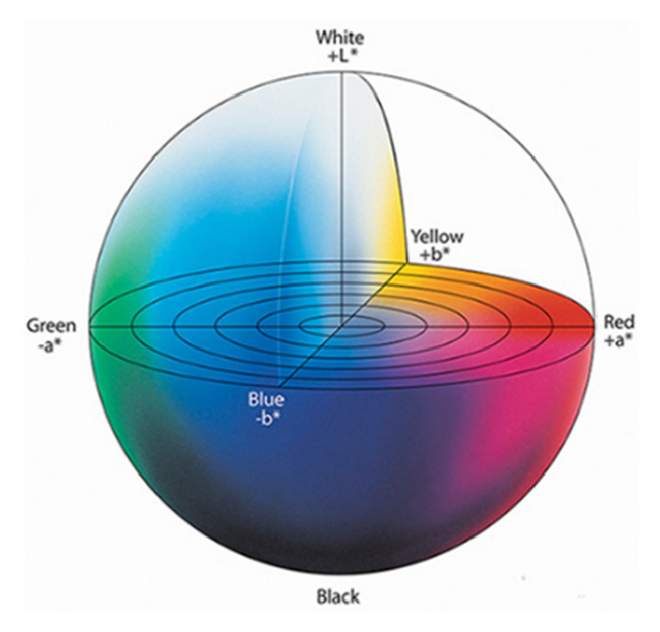 Nanomaterials 15 00890 g010