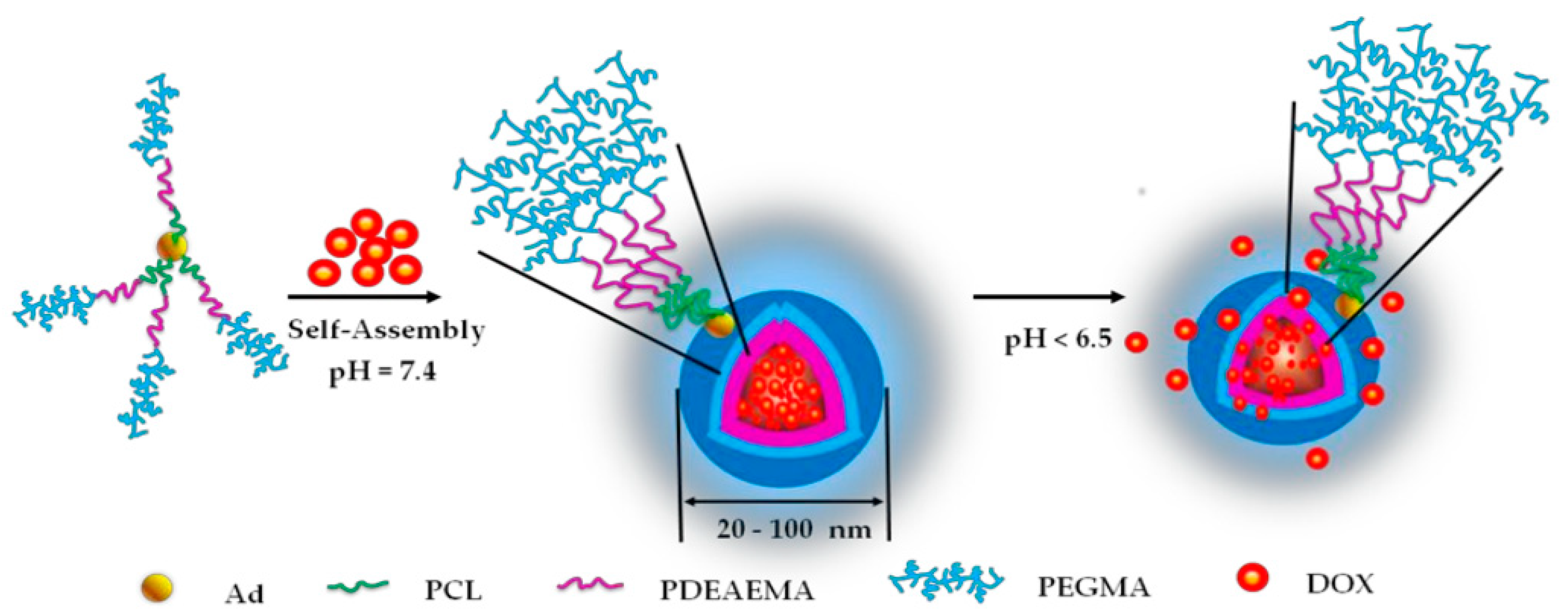 Nanomaterials 15 00895 g002