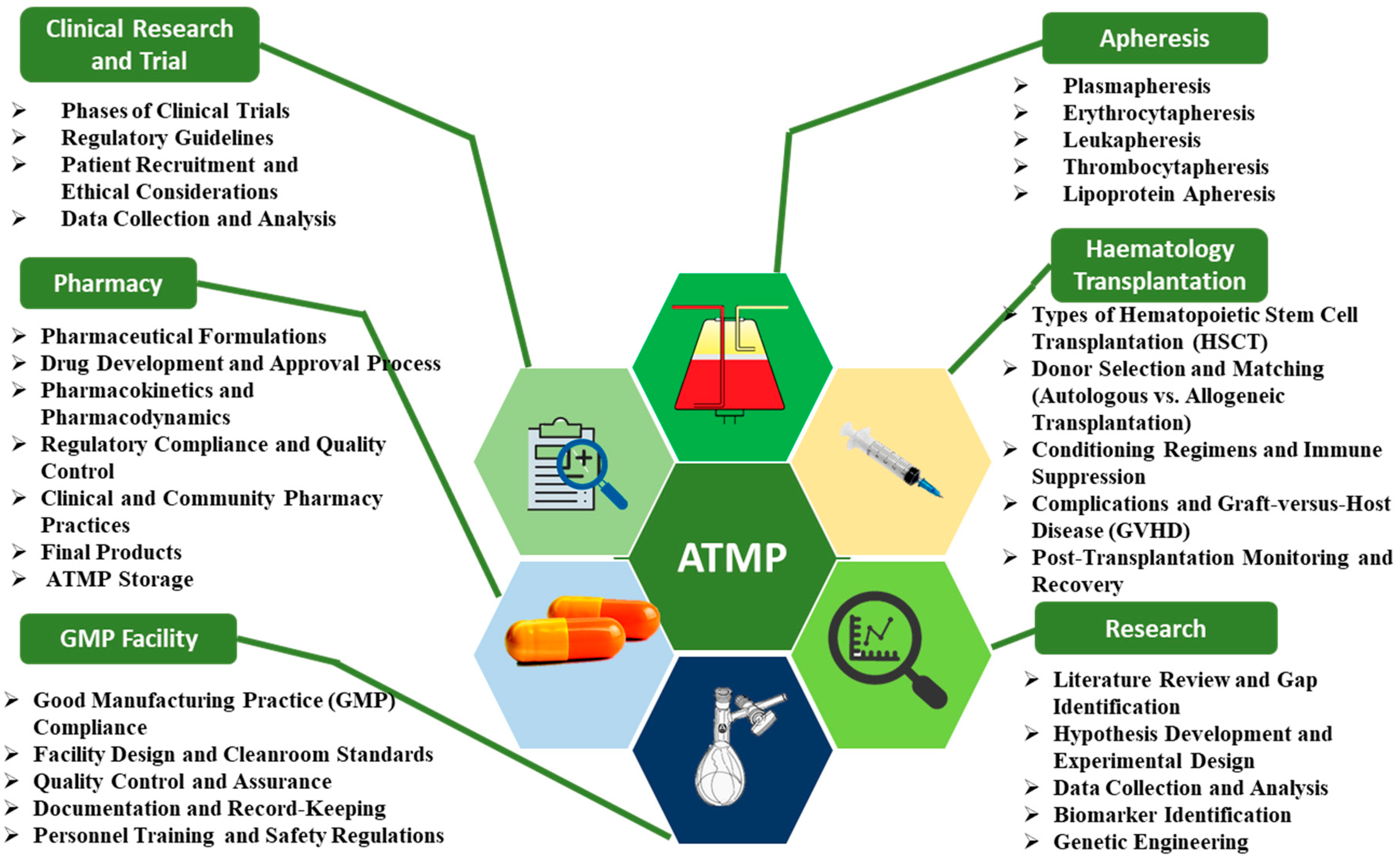 Nanomaterials 15 00895 g003