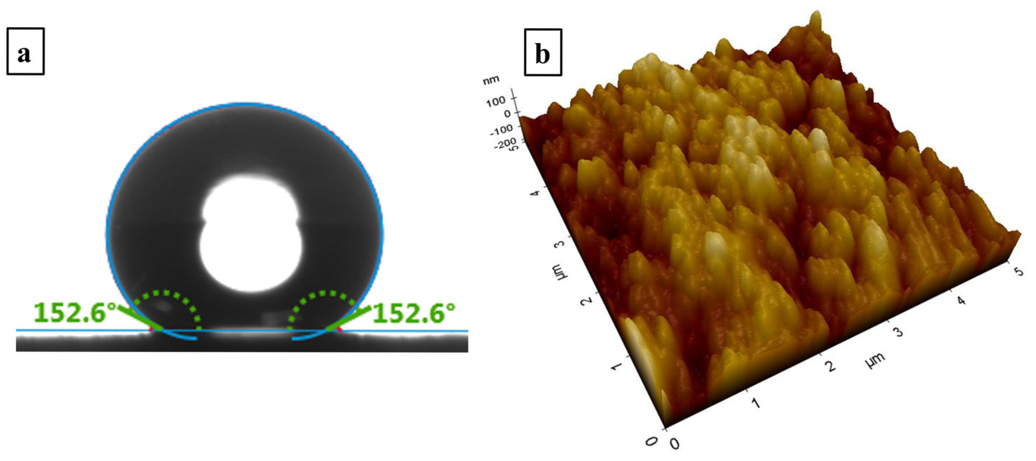 Nanomaterials 15 00898 g001