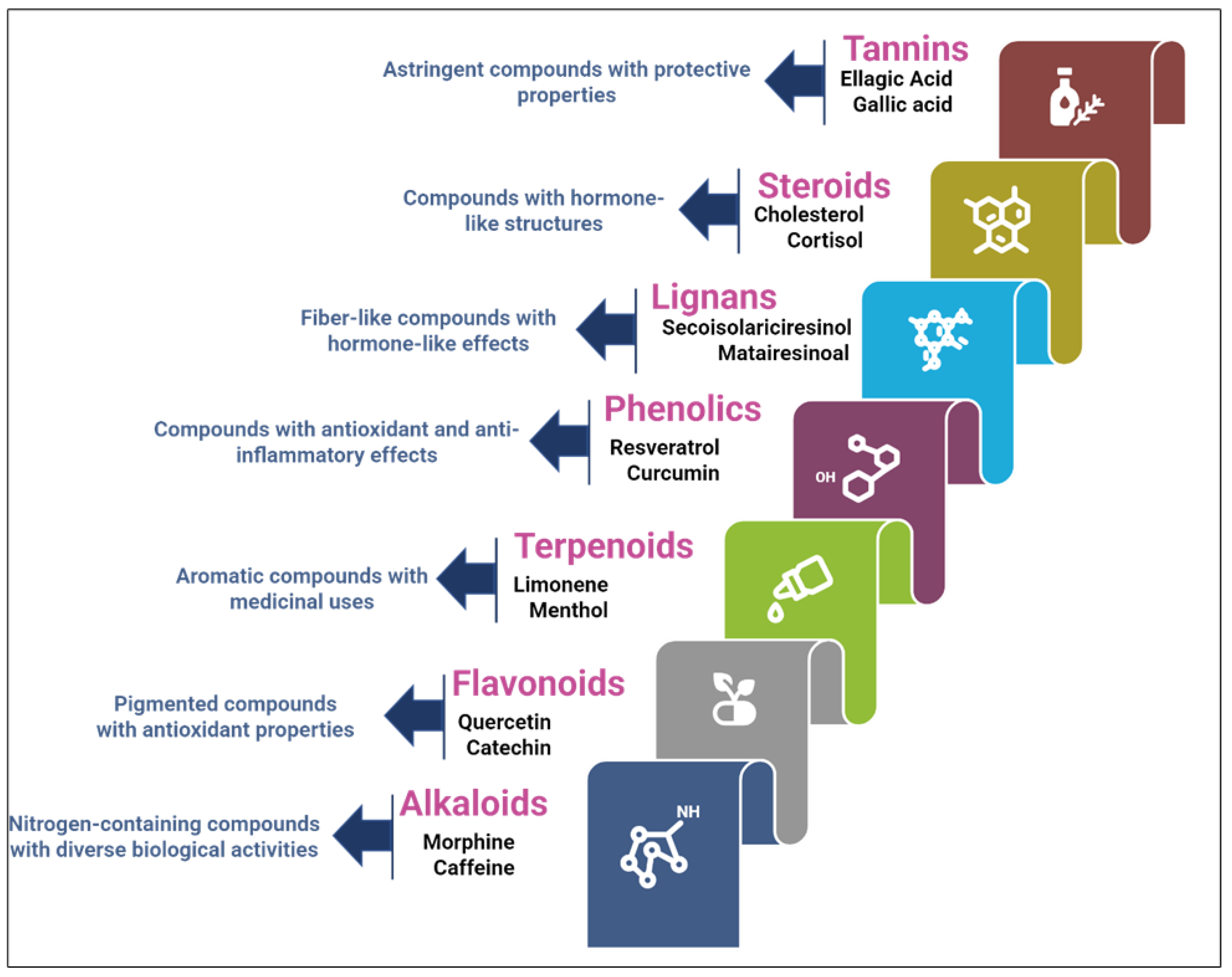 Nanomaterials 15 00899 g005