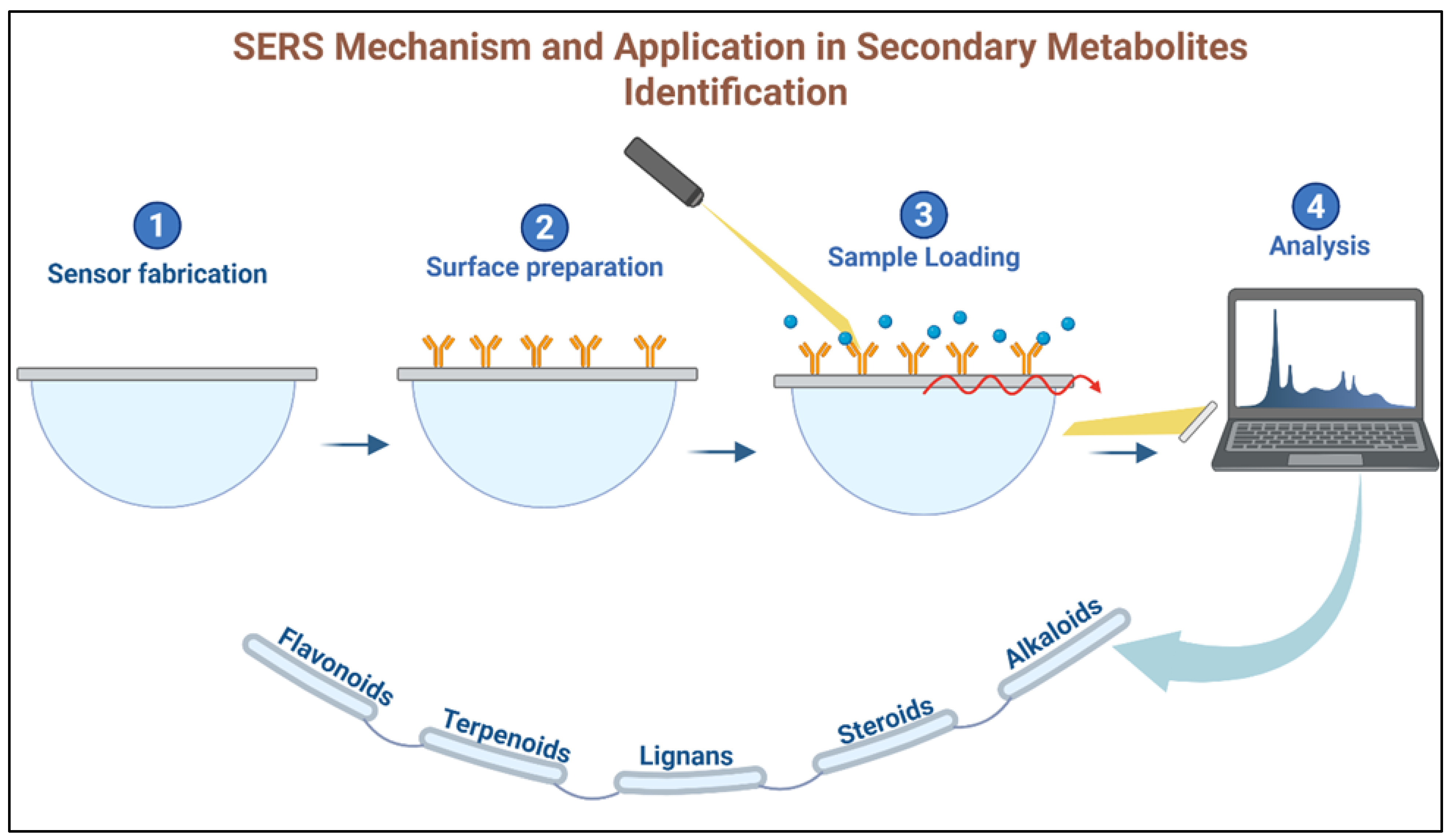 Nanomaterials 15 00899 g007