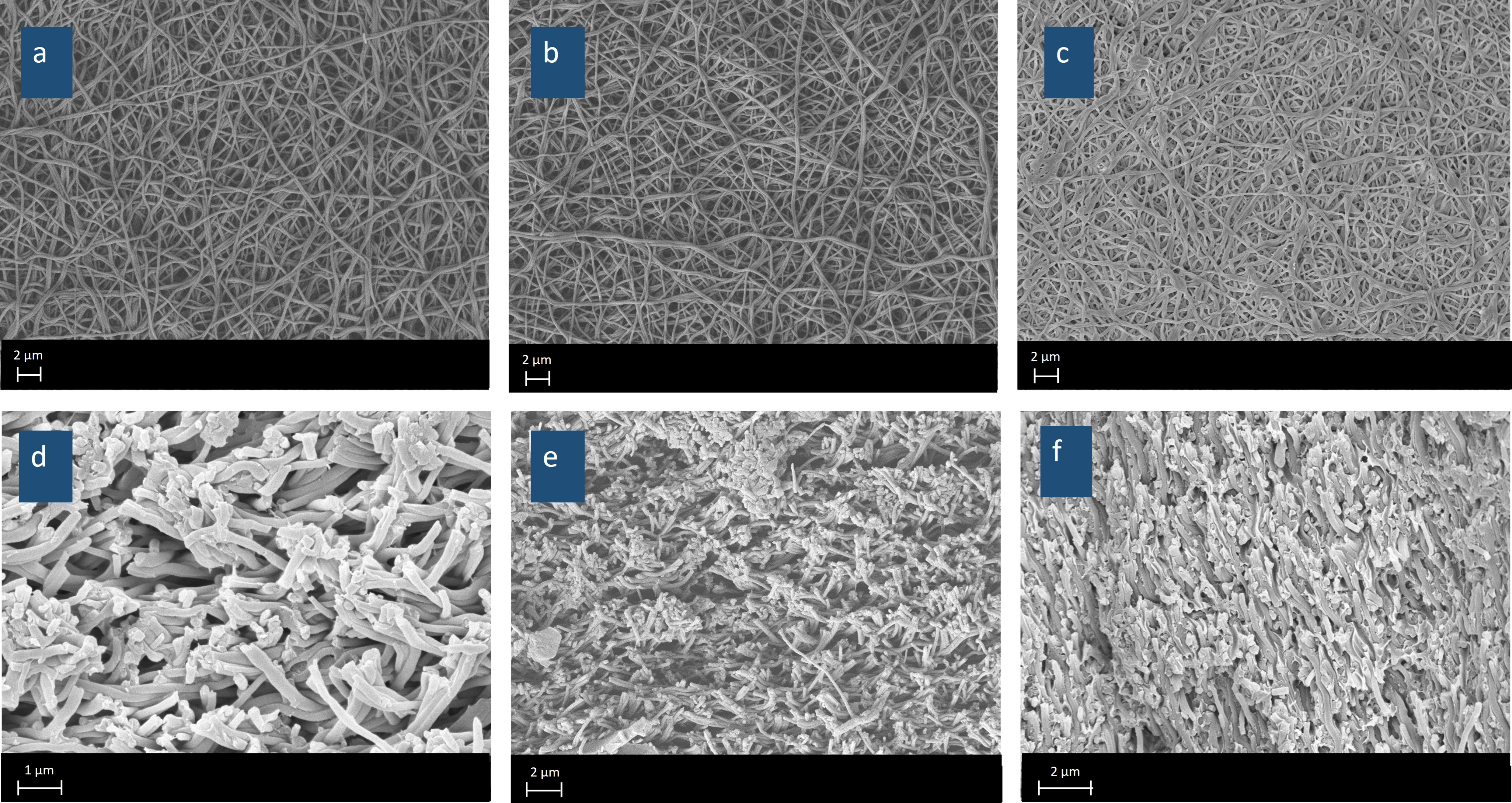 Nanomaterials 15 00907 g005