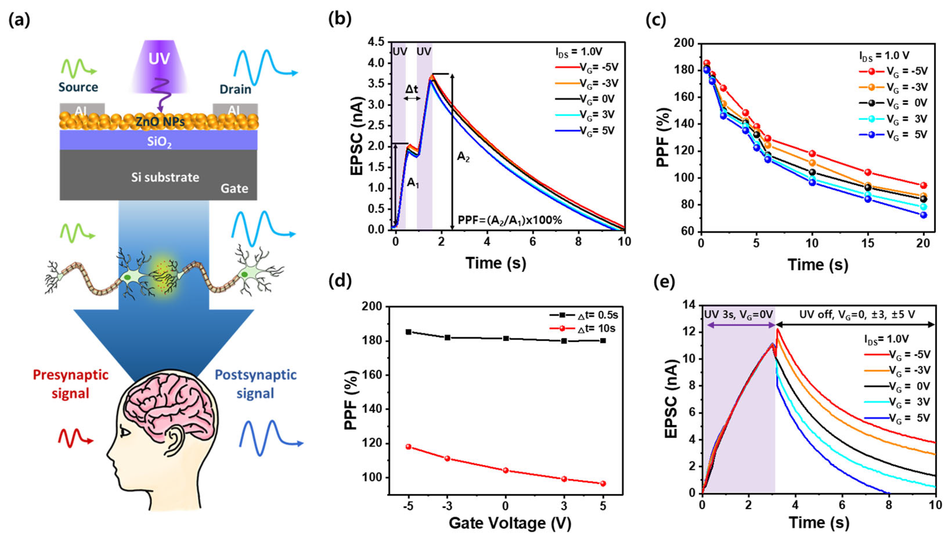 Nanomaterials 15 00908 g005