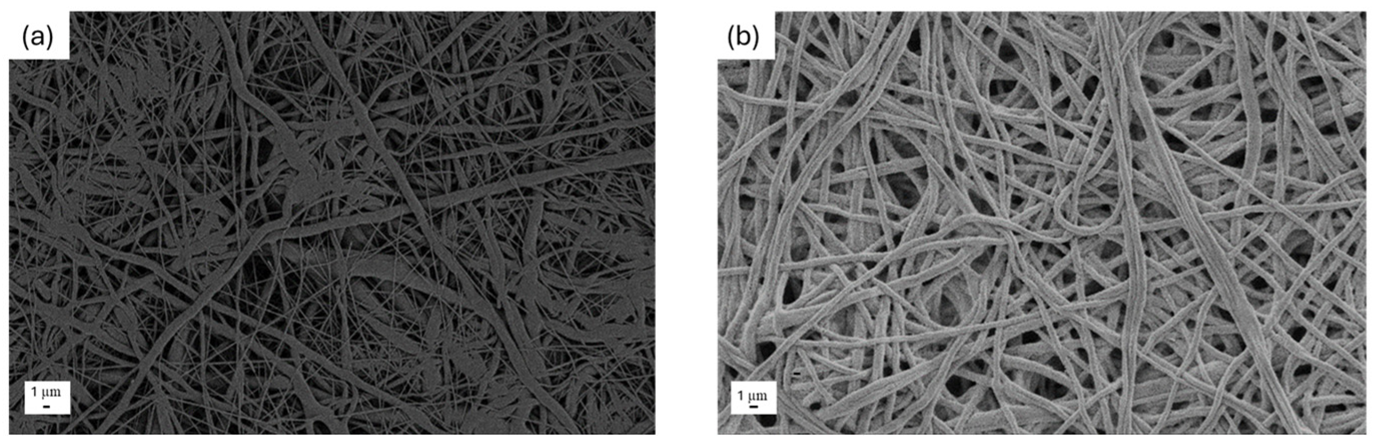 Nanomaterials 15 00911 g001