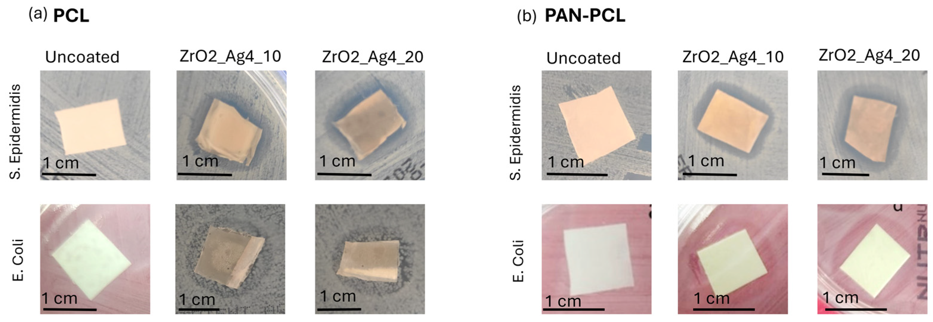 Nanomaterials 15 00911 g005