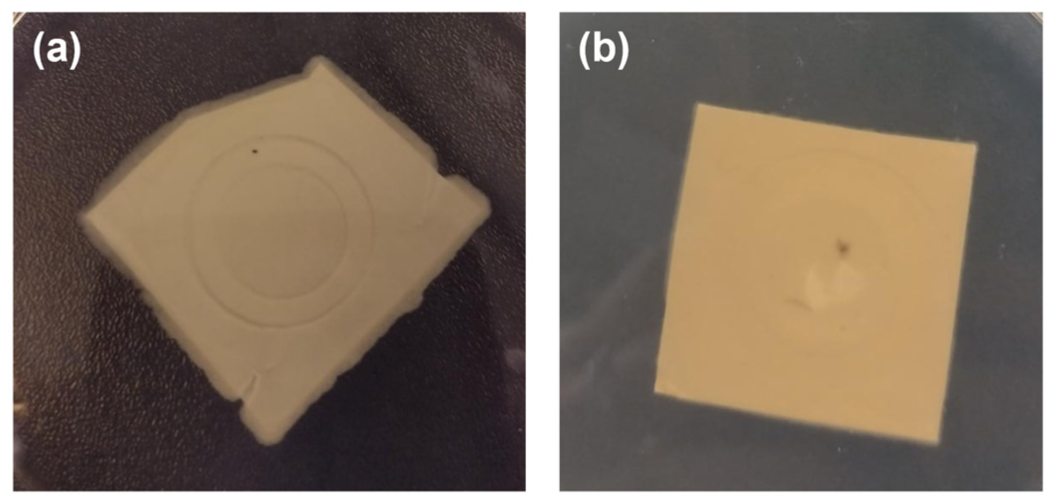 Nanomaterials 15 00911 g006