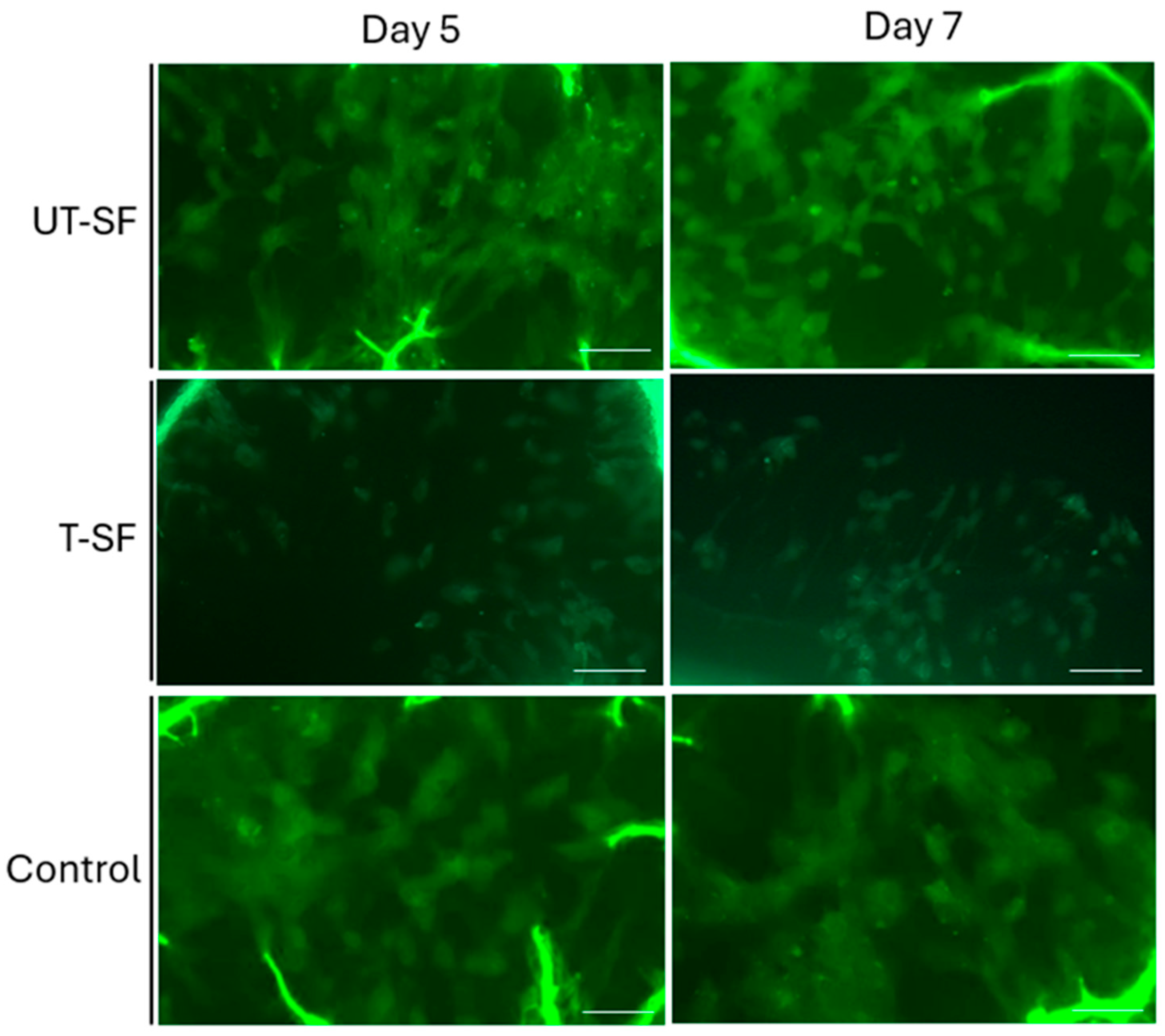 Nanomaterials 15 00919 g002