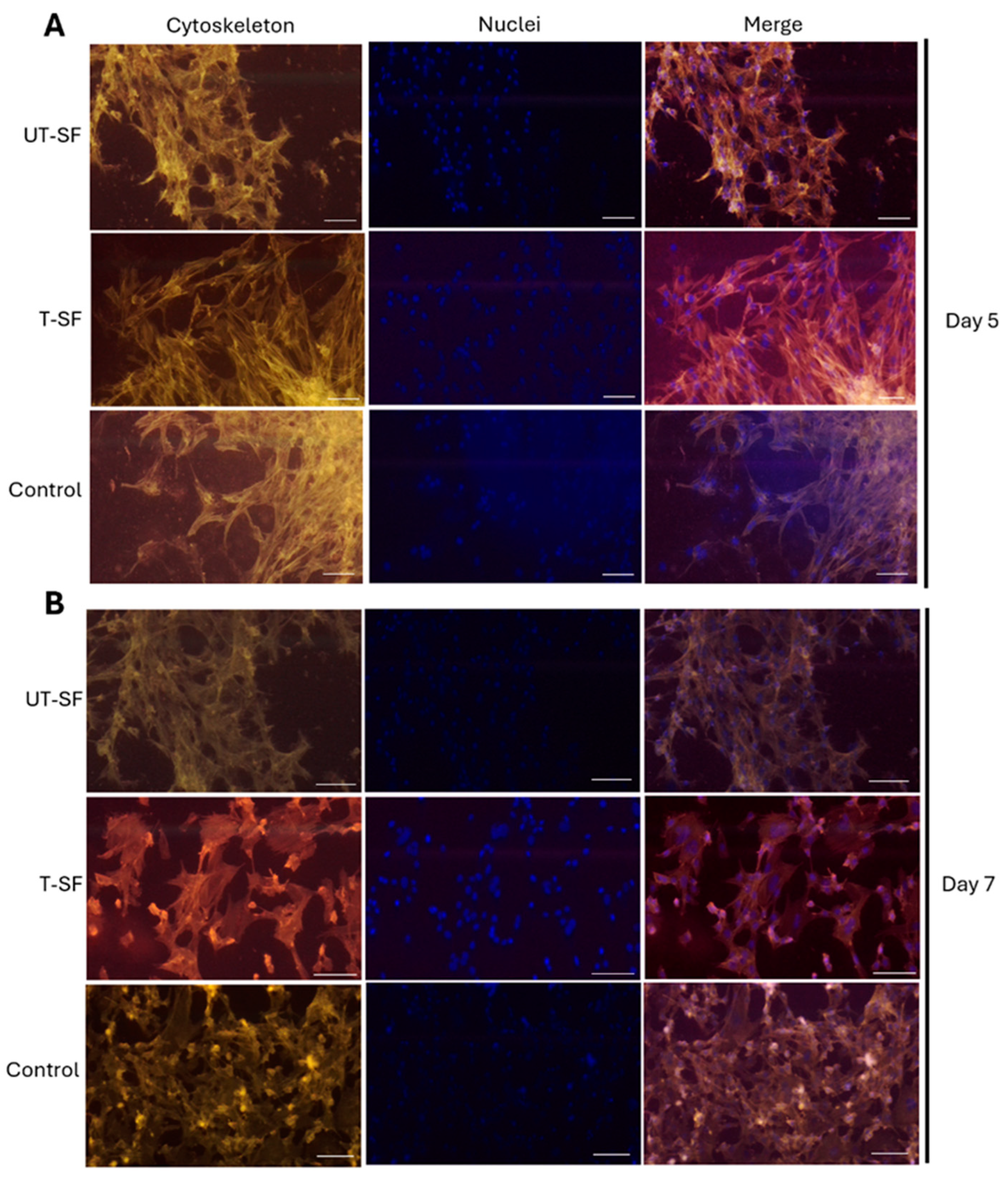 Nanomaterials 15 00919 g003