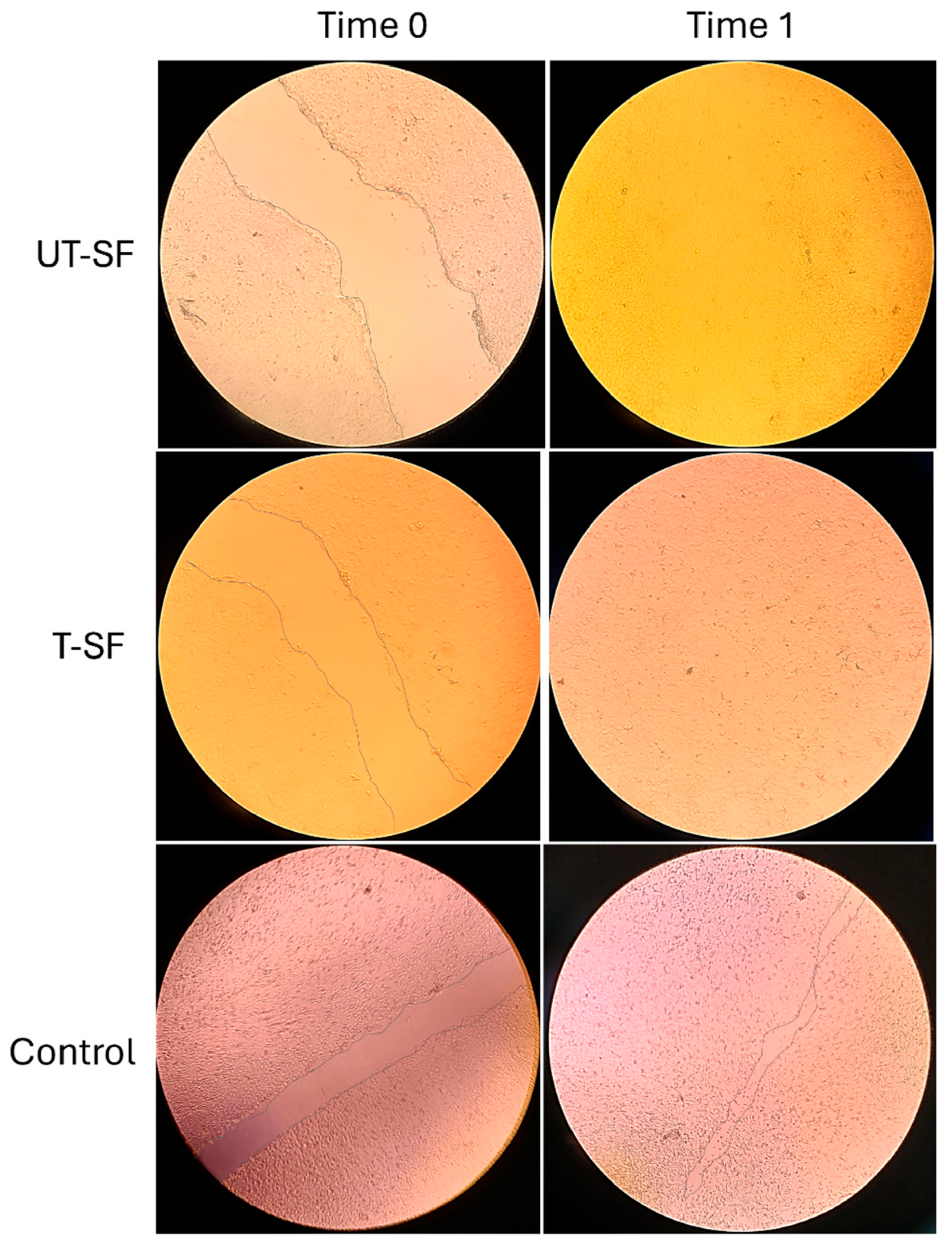 Nanomaterials 15 00919 g004