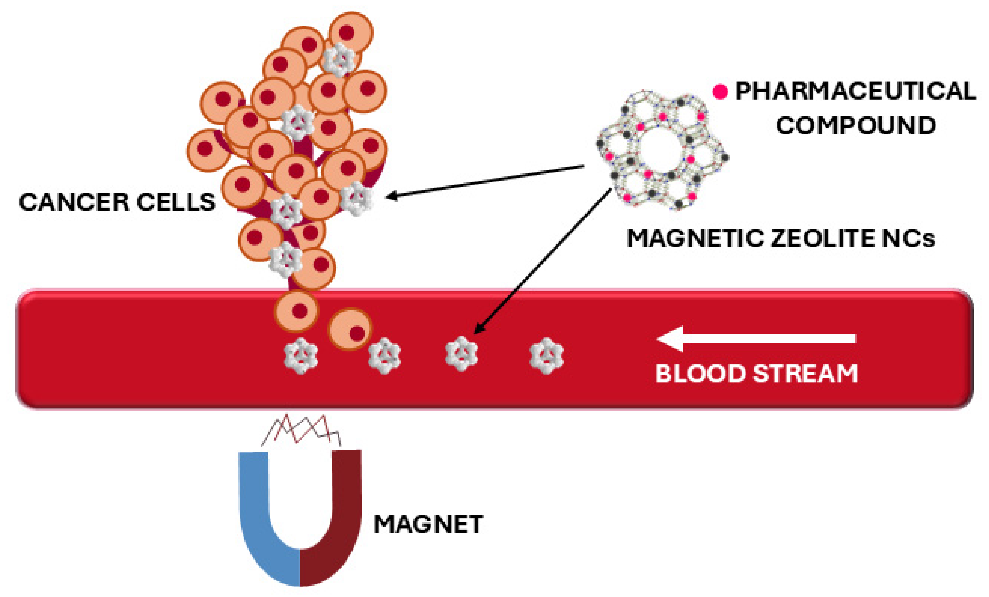 Nanomaterials 15 00921 g008