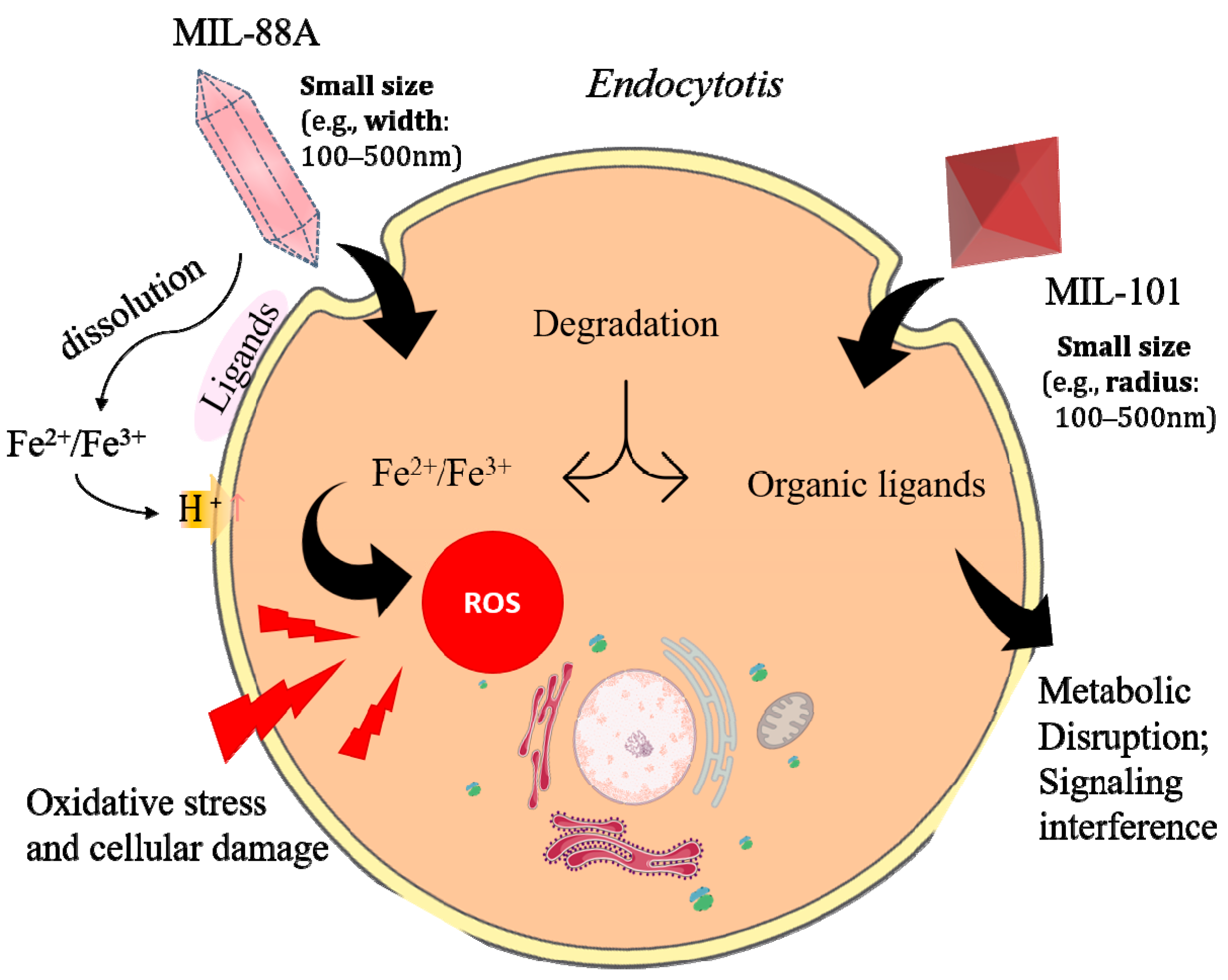 Nanomaterials 15 00927 g008