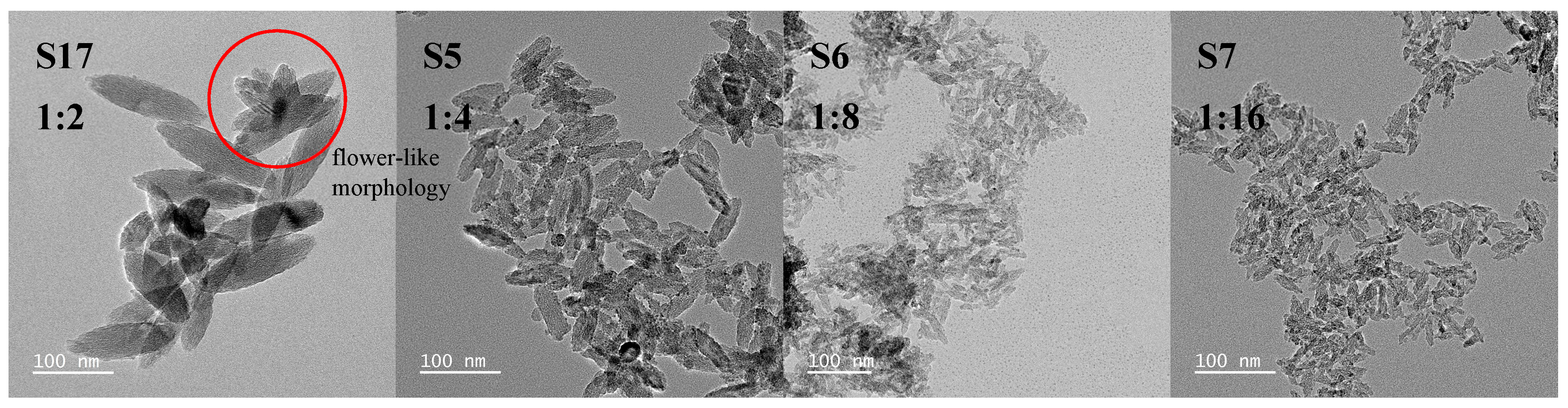 Nanomaterials 15 00930 g003