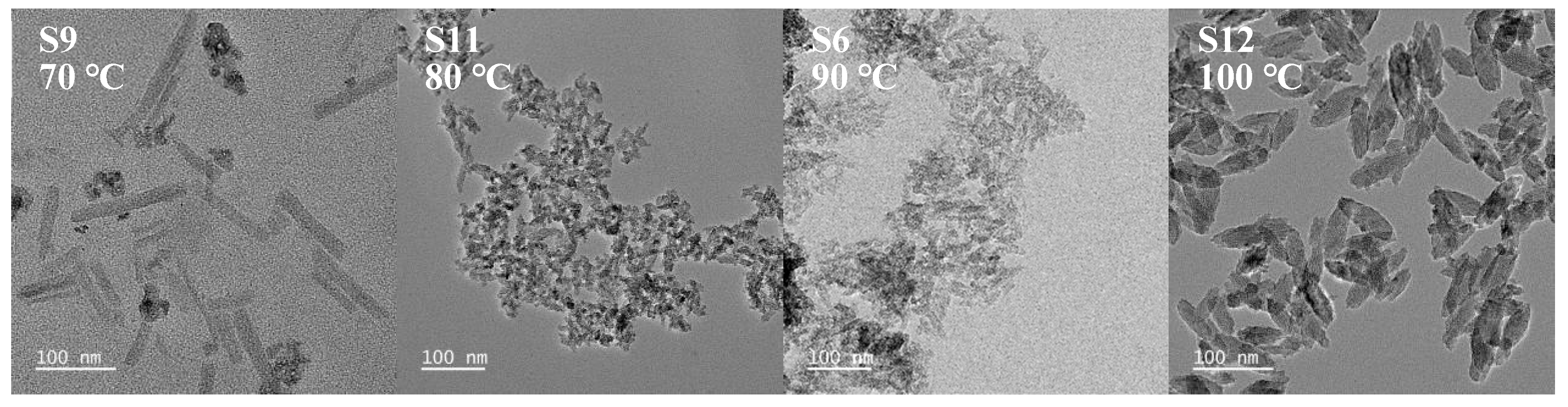 Nanomaterials 15 00930 g007