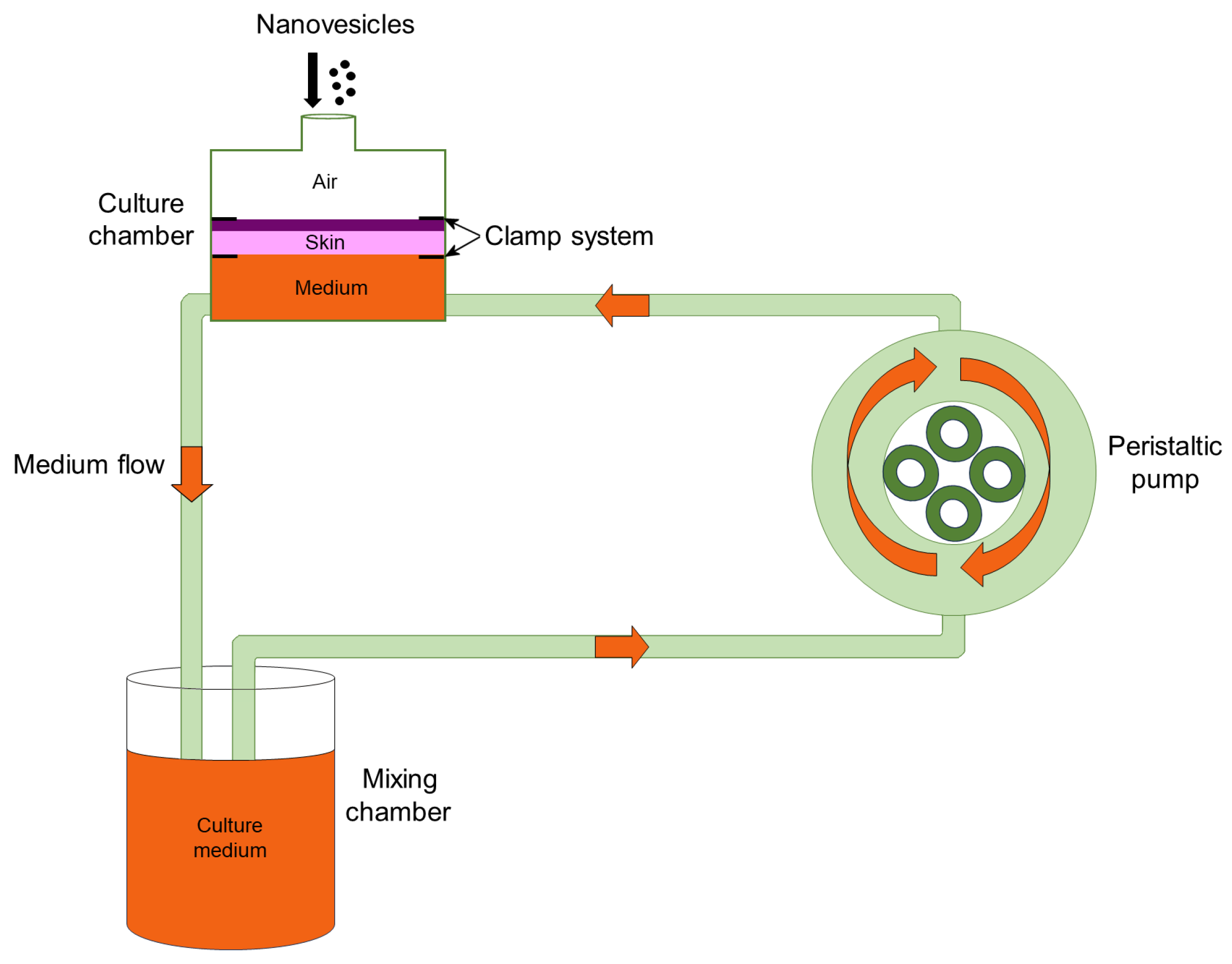 Nanomaterials 15 00937 g001