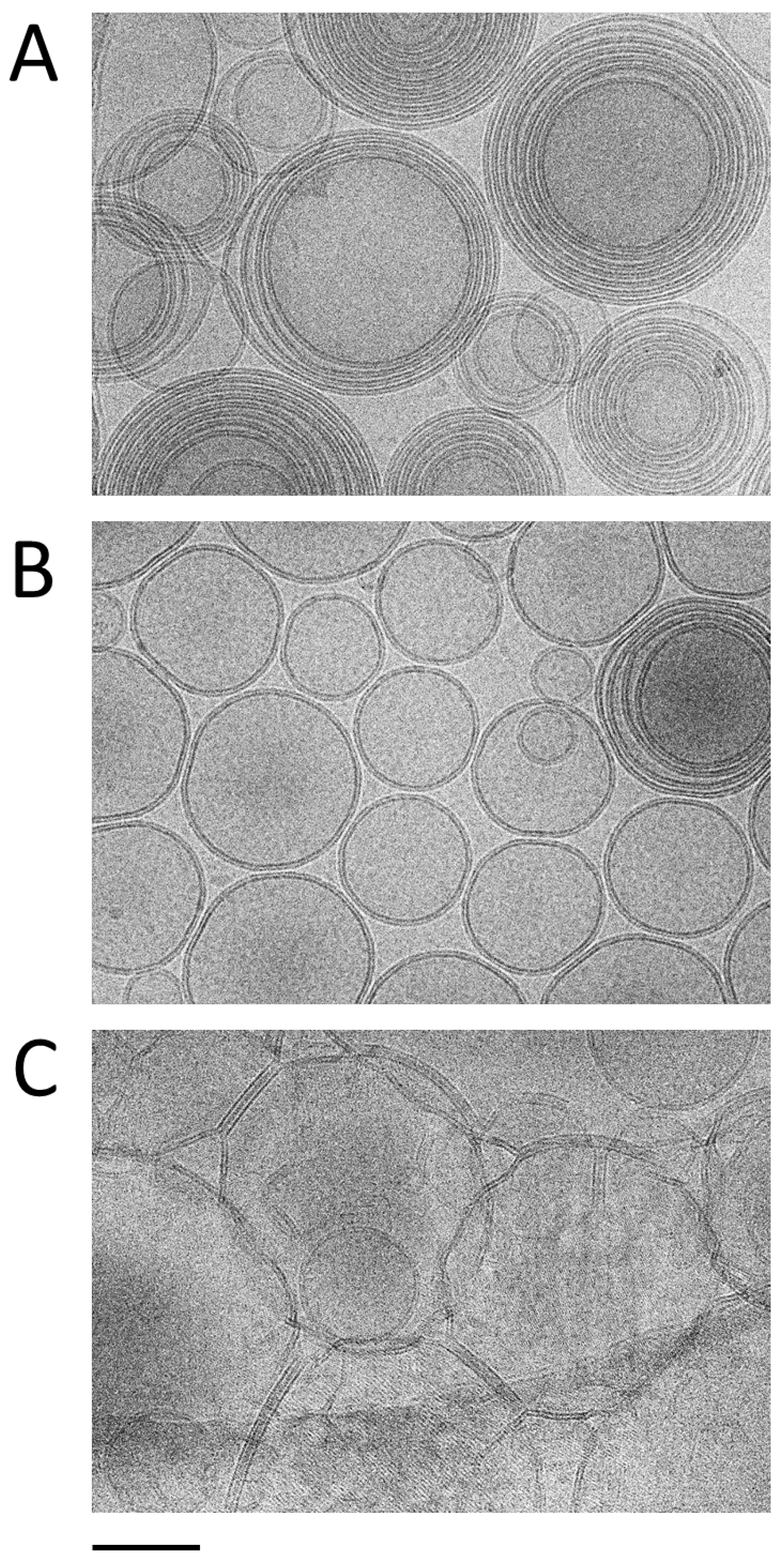 Nanomaterials 15 00937 g003