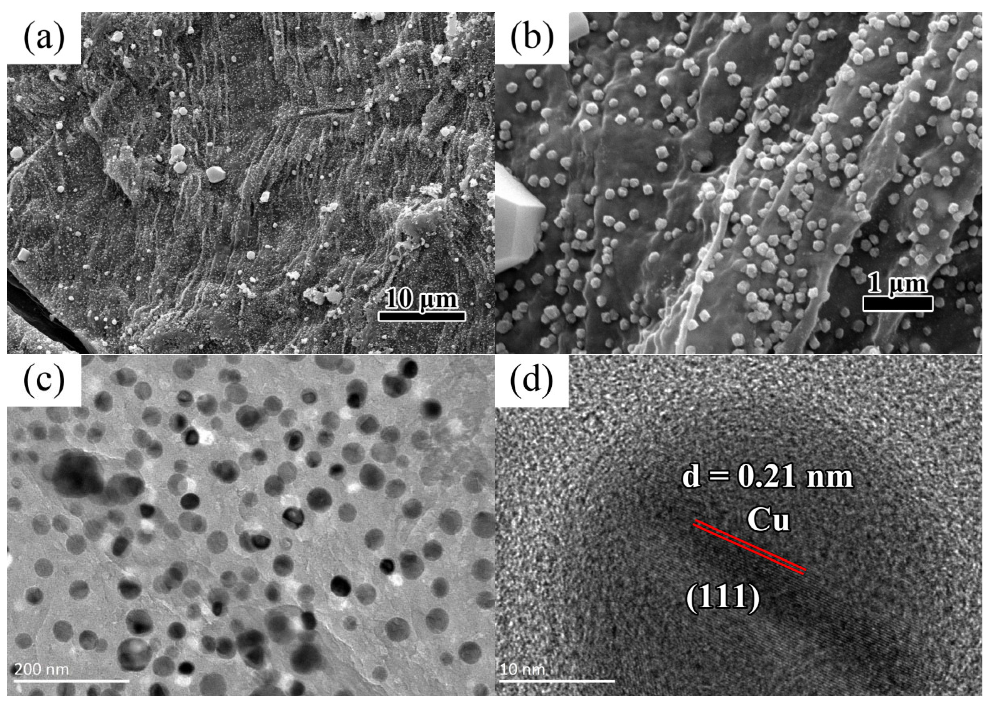 Nanomaterials 15 00944 g001