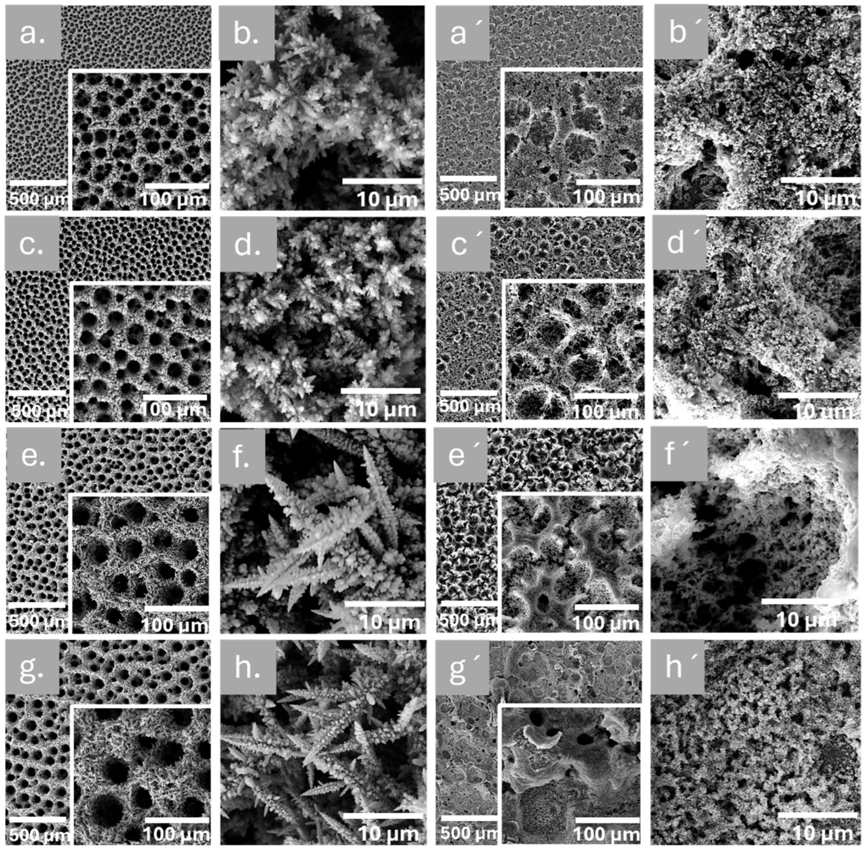 Nanomaterials 15 00945 g001