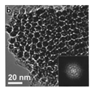 Nanomaterials 15 00956 i018