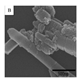 Nanomaterials 15 00956 i041