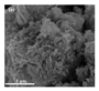 Nanomaterials 15 00956 i045