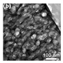 Nanomaterials 15 00956 i057