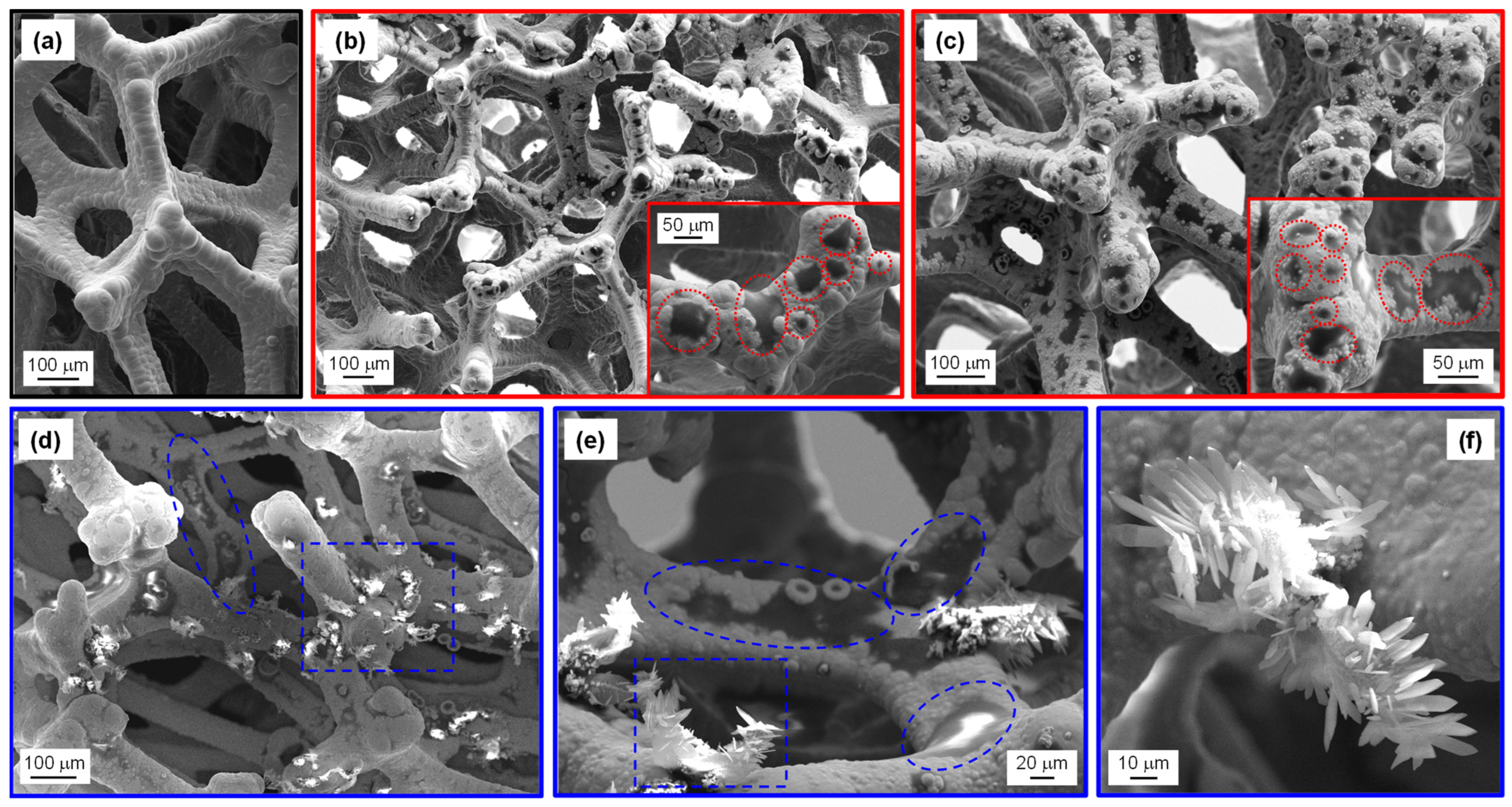 Nanomaterials 15 00960 g003