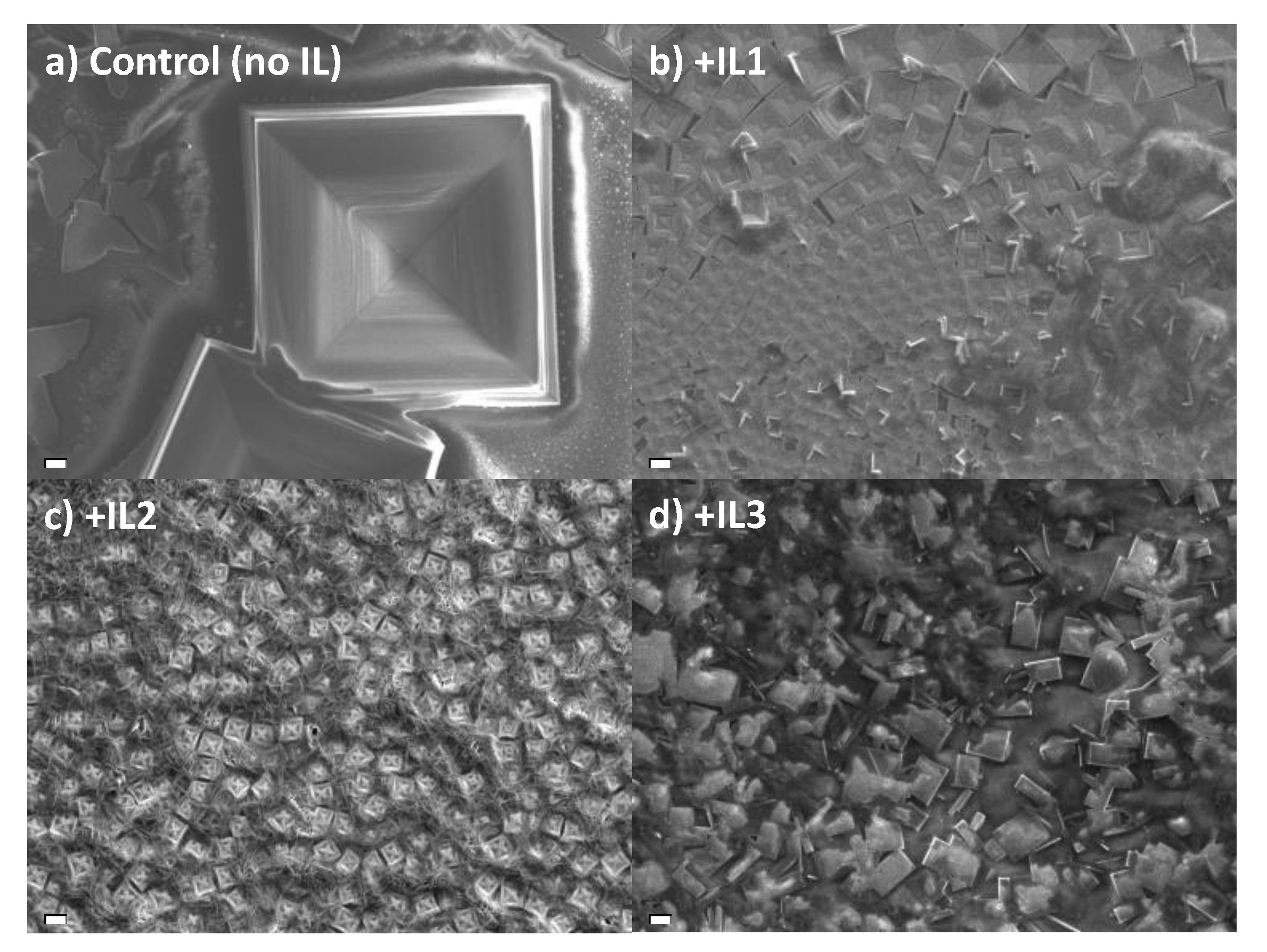 Nanomaterials 15 00964 g002
