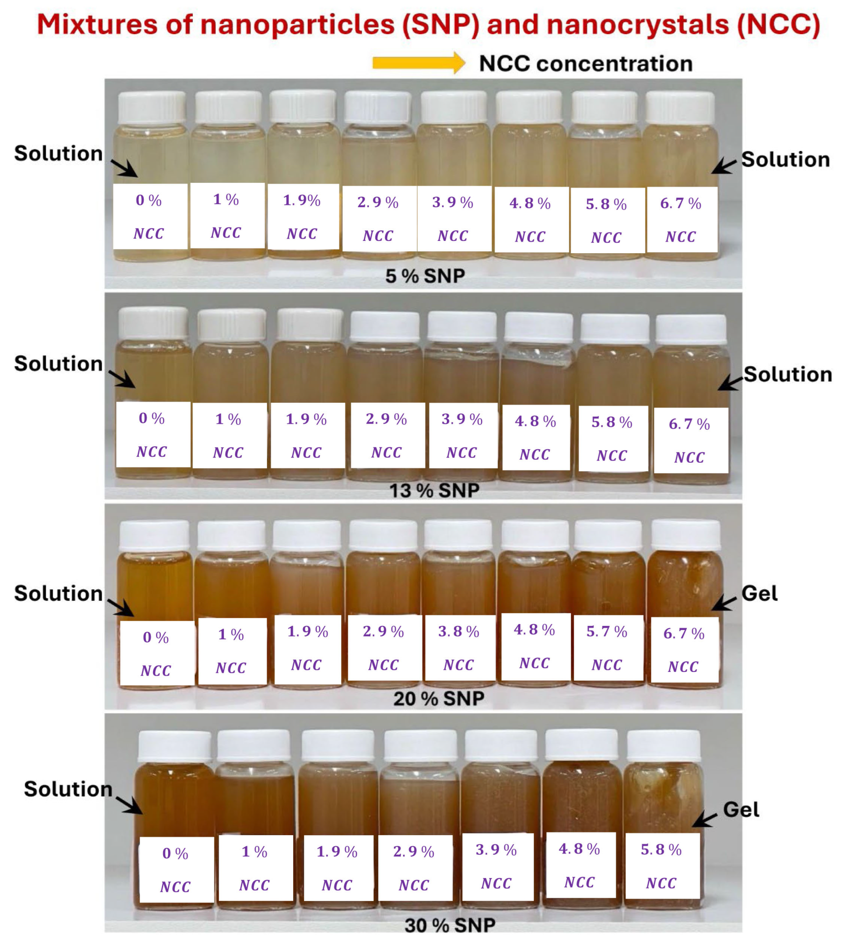 Nanomaterials 15 00966 g011