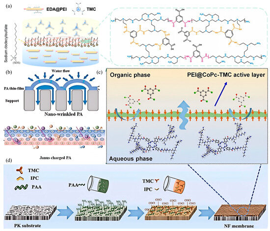 Recent Advances on the Positively-Charged Nanofiltration