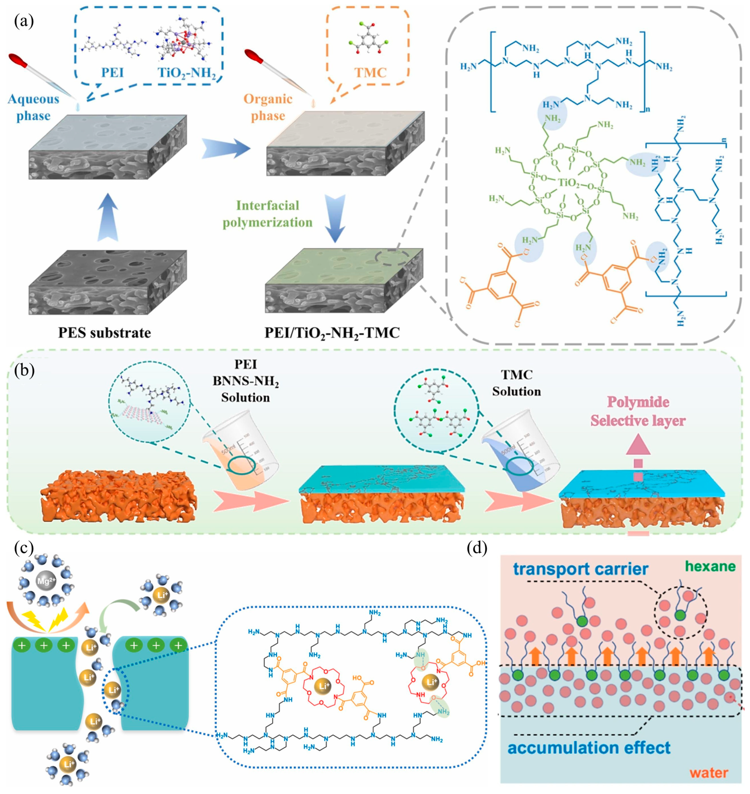 Recent Advances on the Positively-Charged Nanofiltration