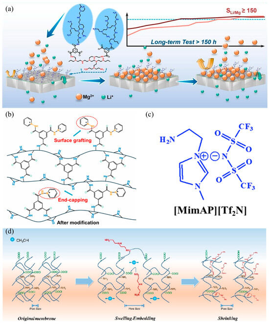Recent Advances on the Positively-Charged Nanofiltration