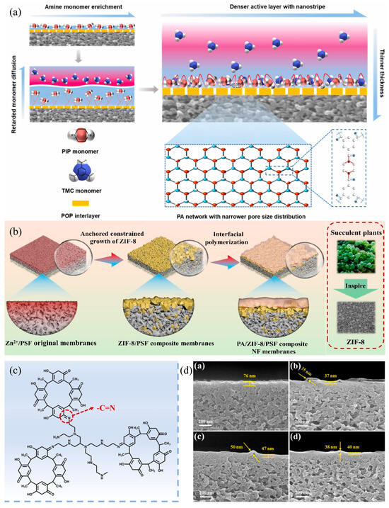 Recent Advances on the Positively-Charged Nanofiltration