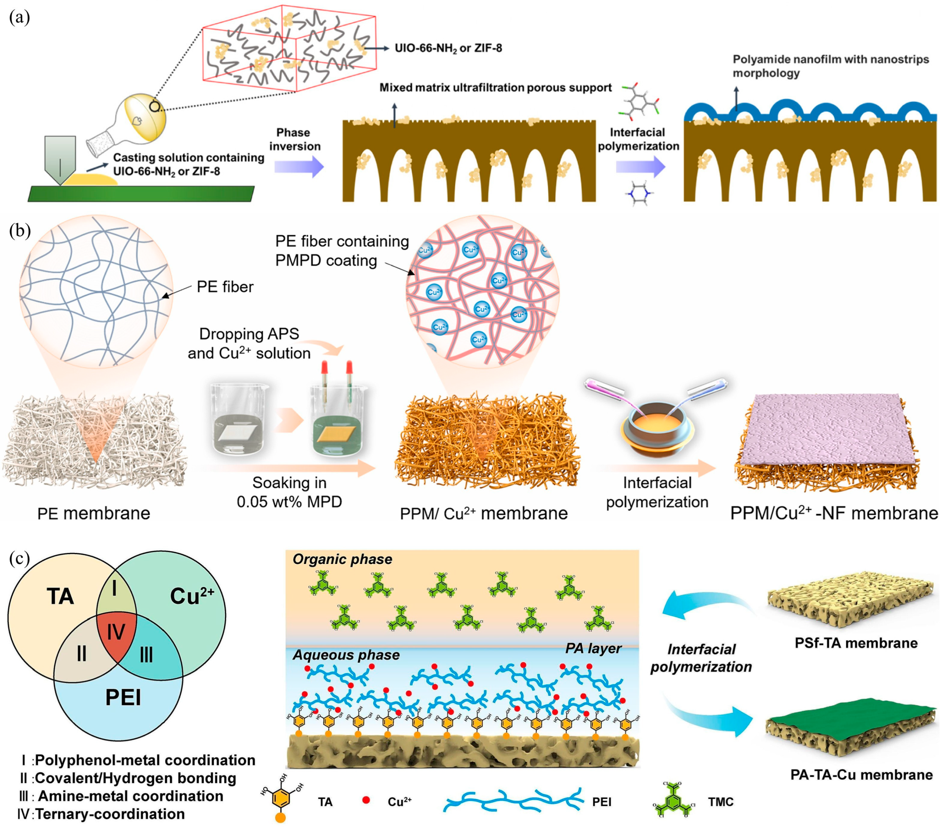 Nanomaterials 15 00967 g008