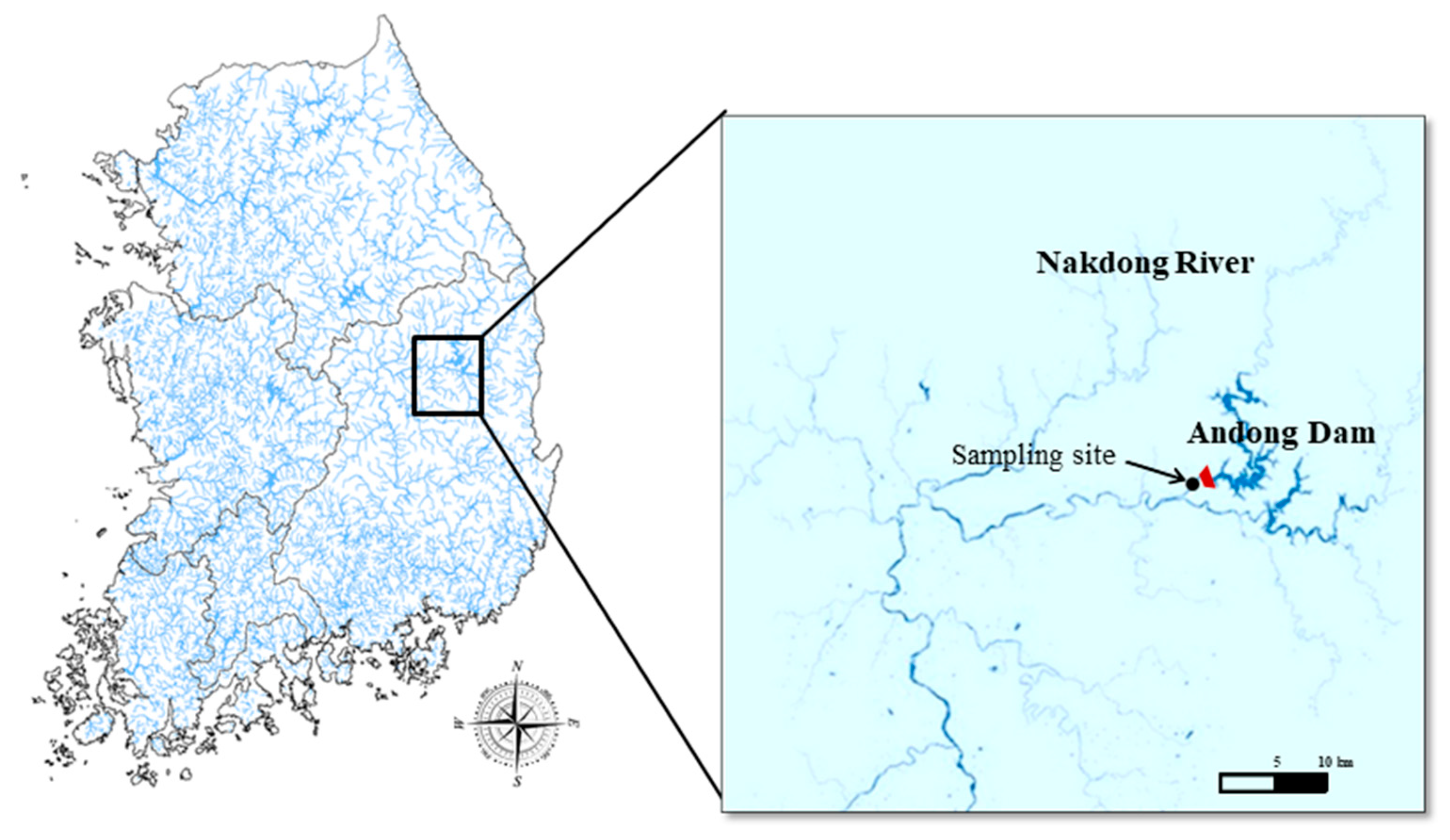 Nanomaterials 15 00971 g001