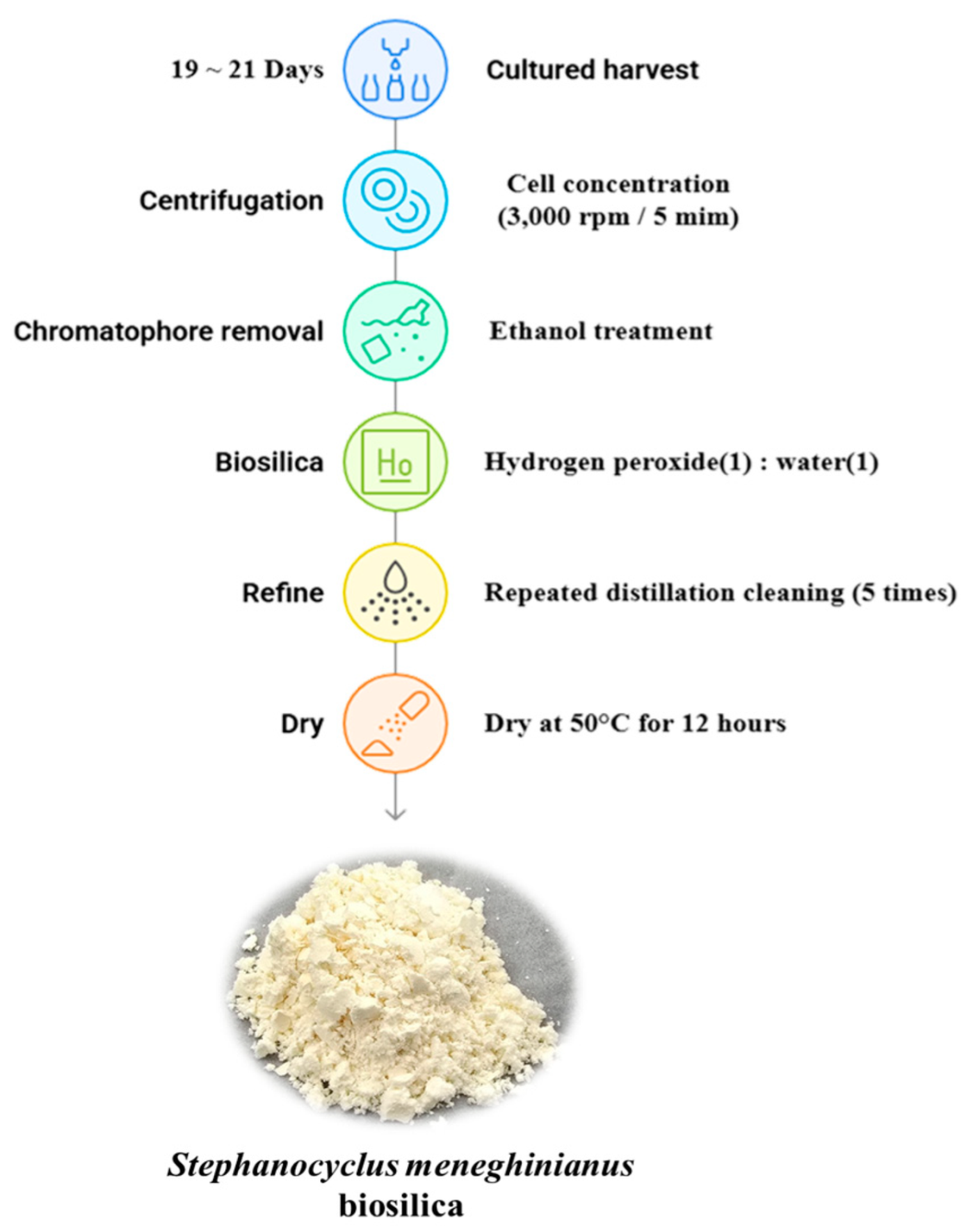 Nanomaterials 15 00971 g002