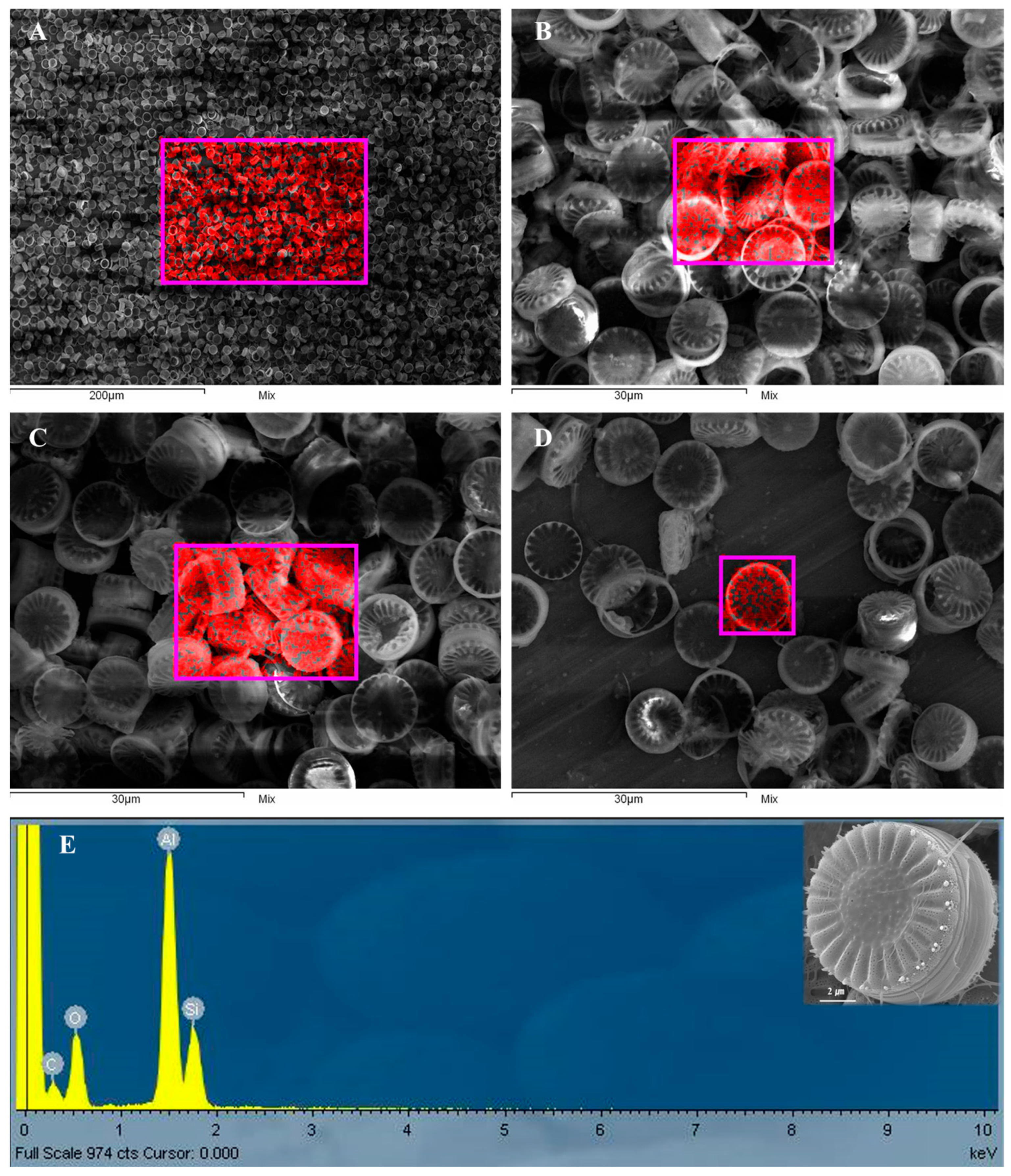 Nanomaterials 15 00971 g008