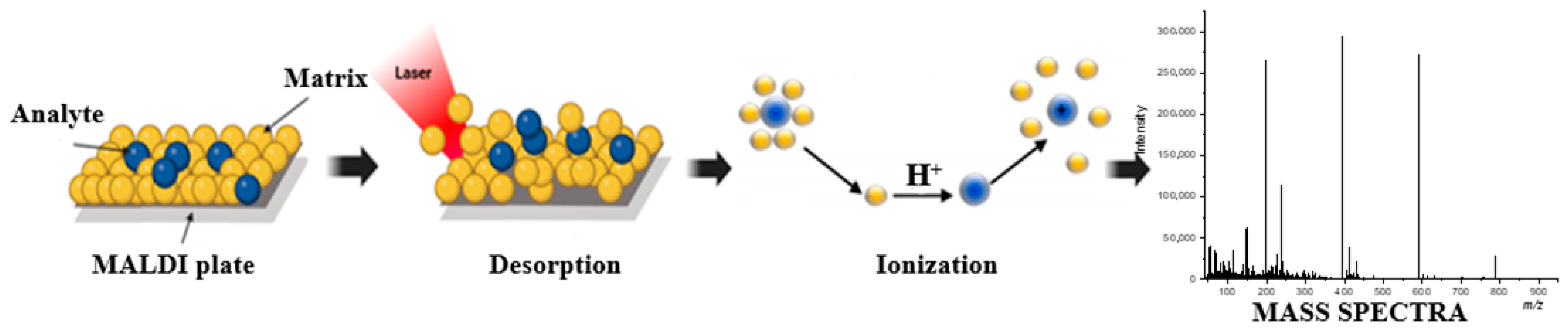 Nanomaterials 15 00973 g001