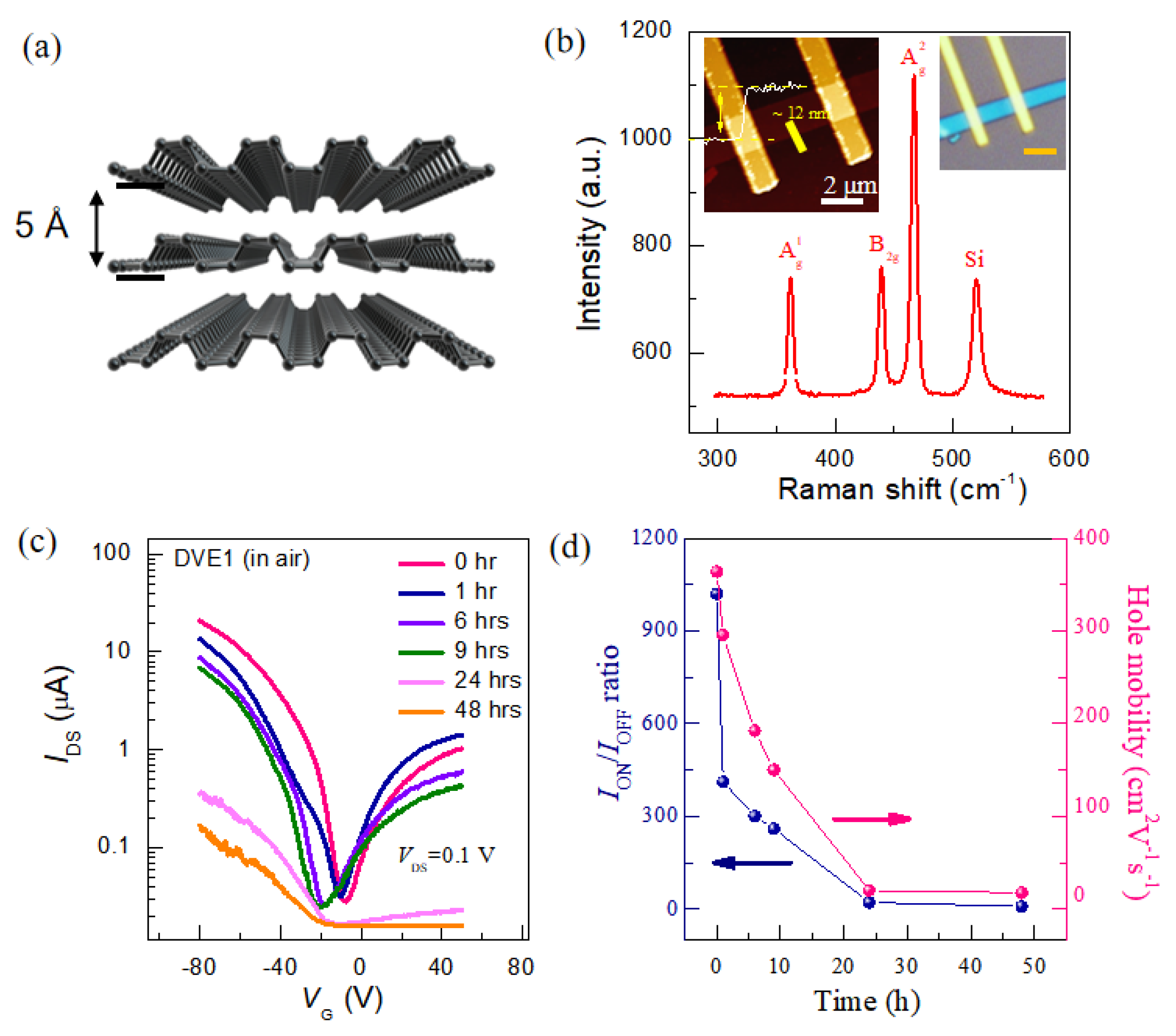 Nanomaterials 15 00974 g001