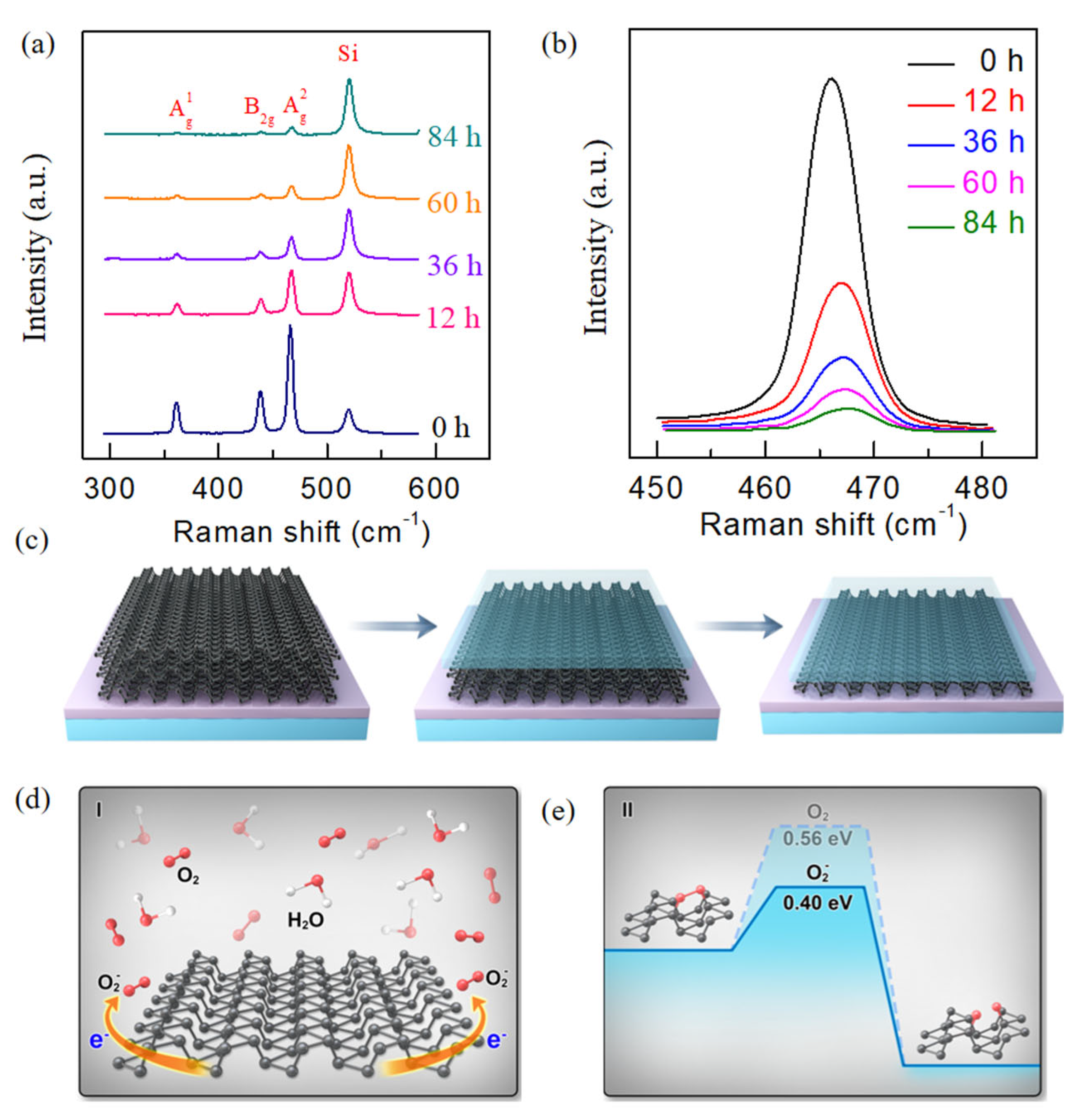 Nanomaterials 15 00974 g003