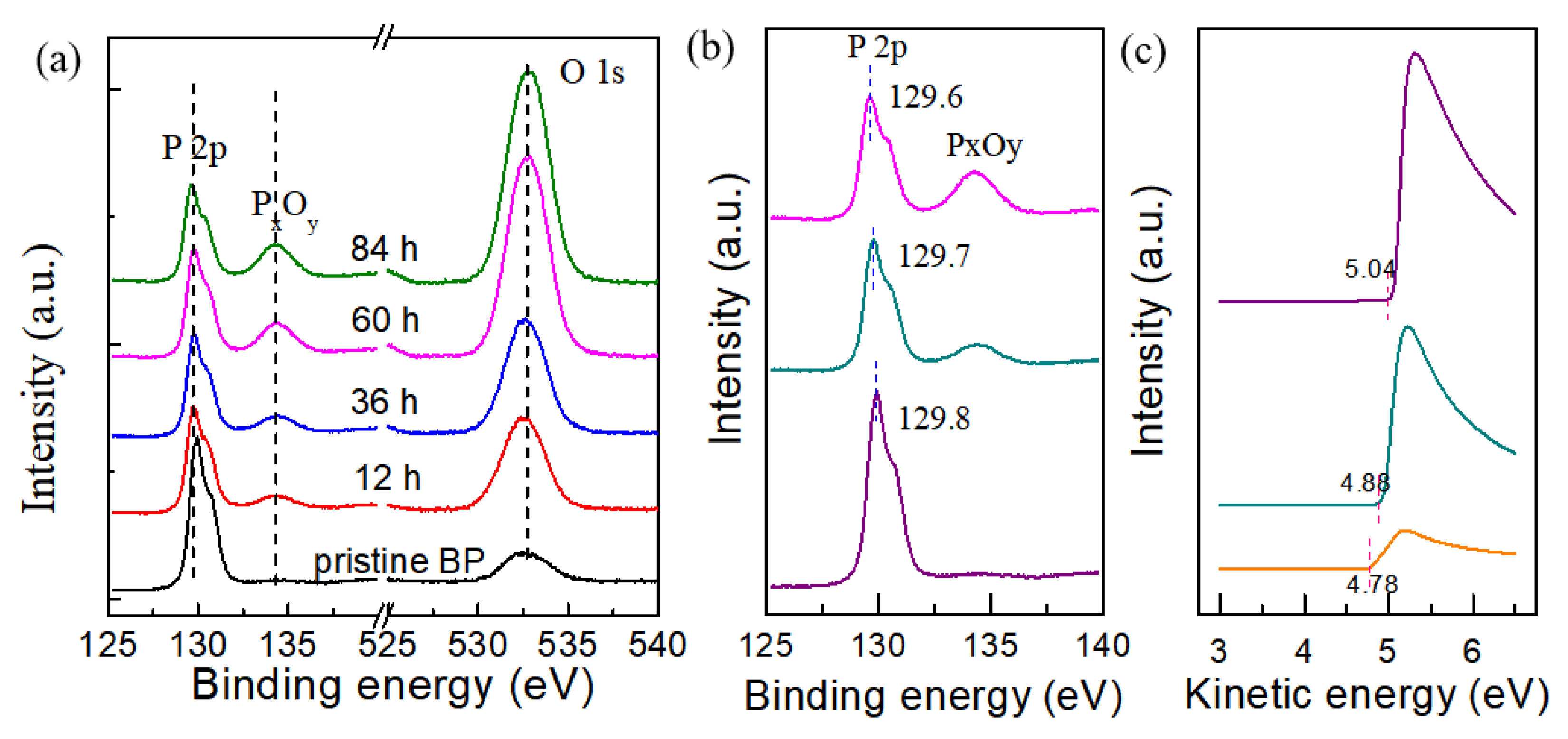 Nanomaterials 15 00974 g004
