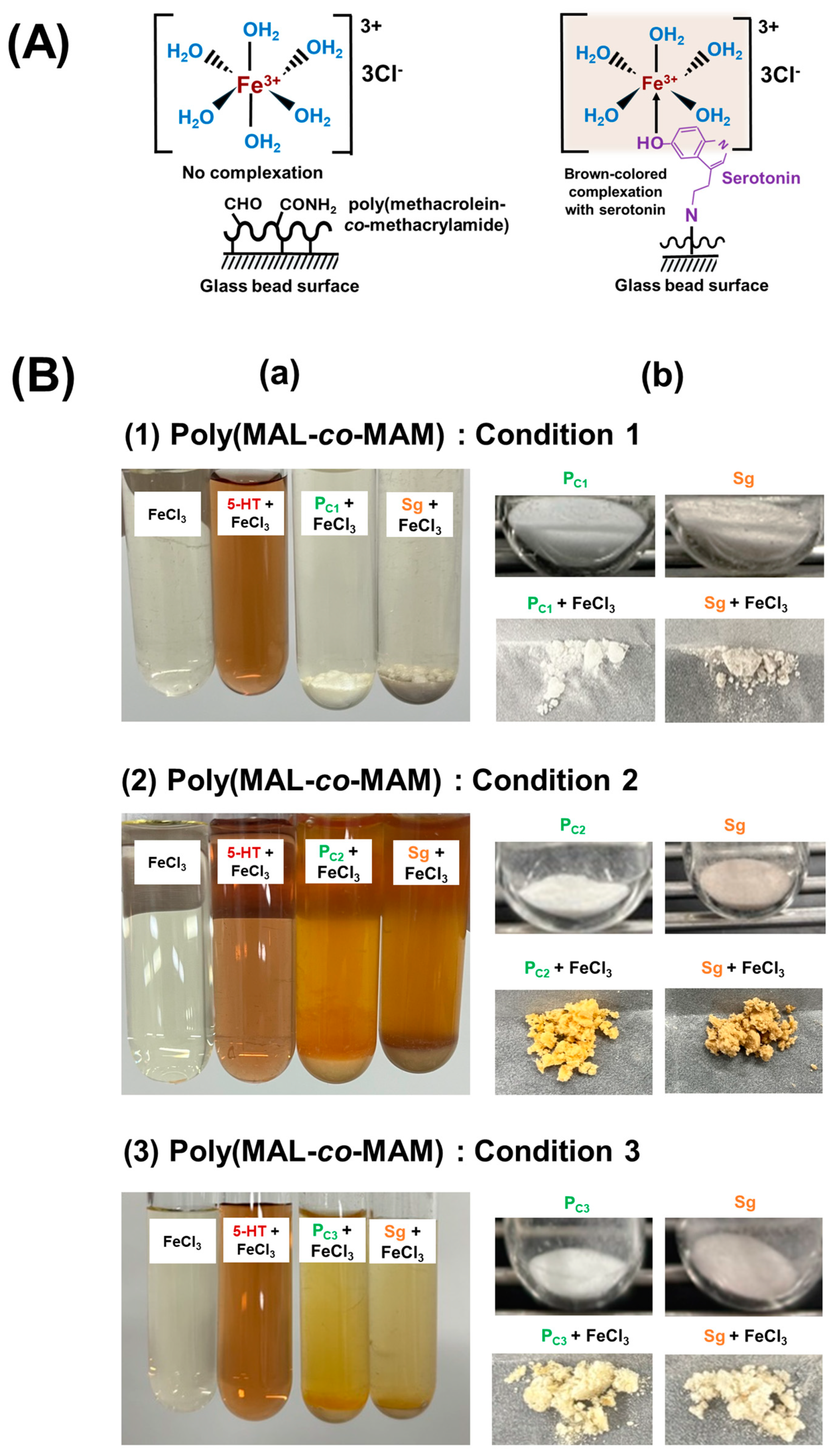 Nanomaterials 15 00977 g005