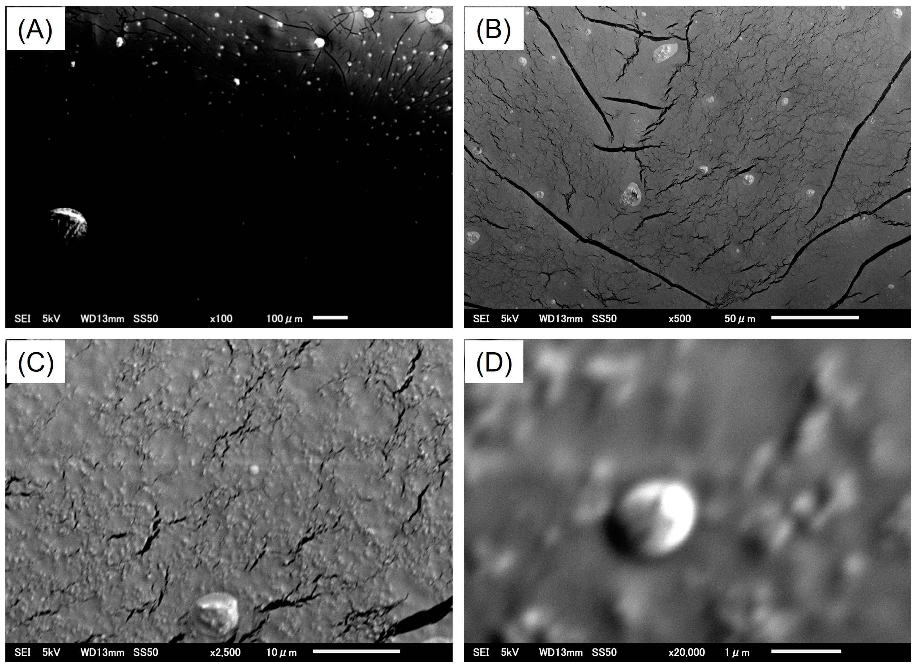 Nanomaterials 15 00977 g009