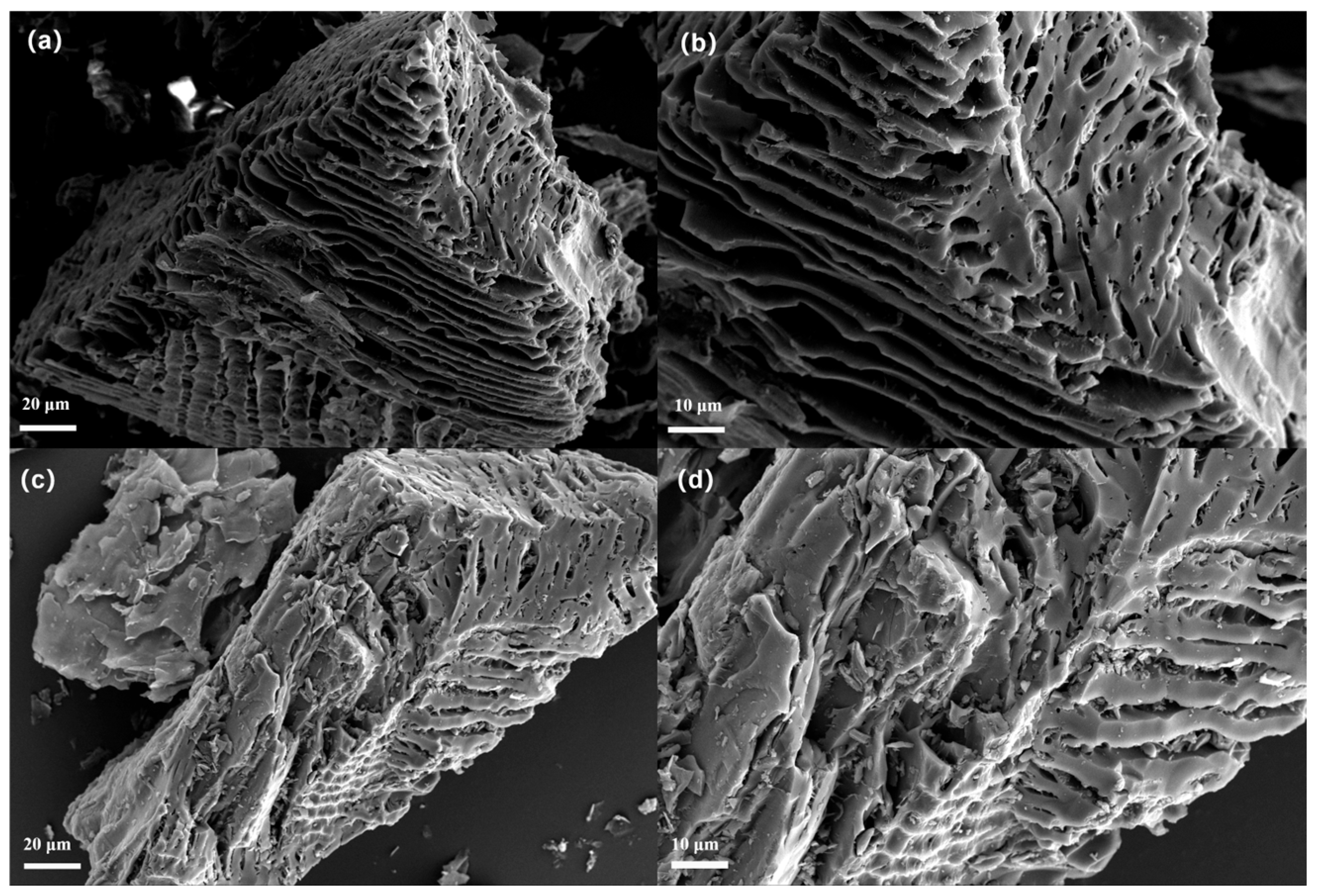 Nanomaterials 15 00979 g001