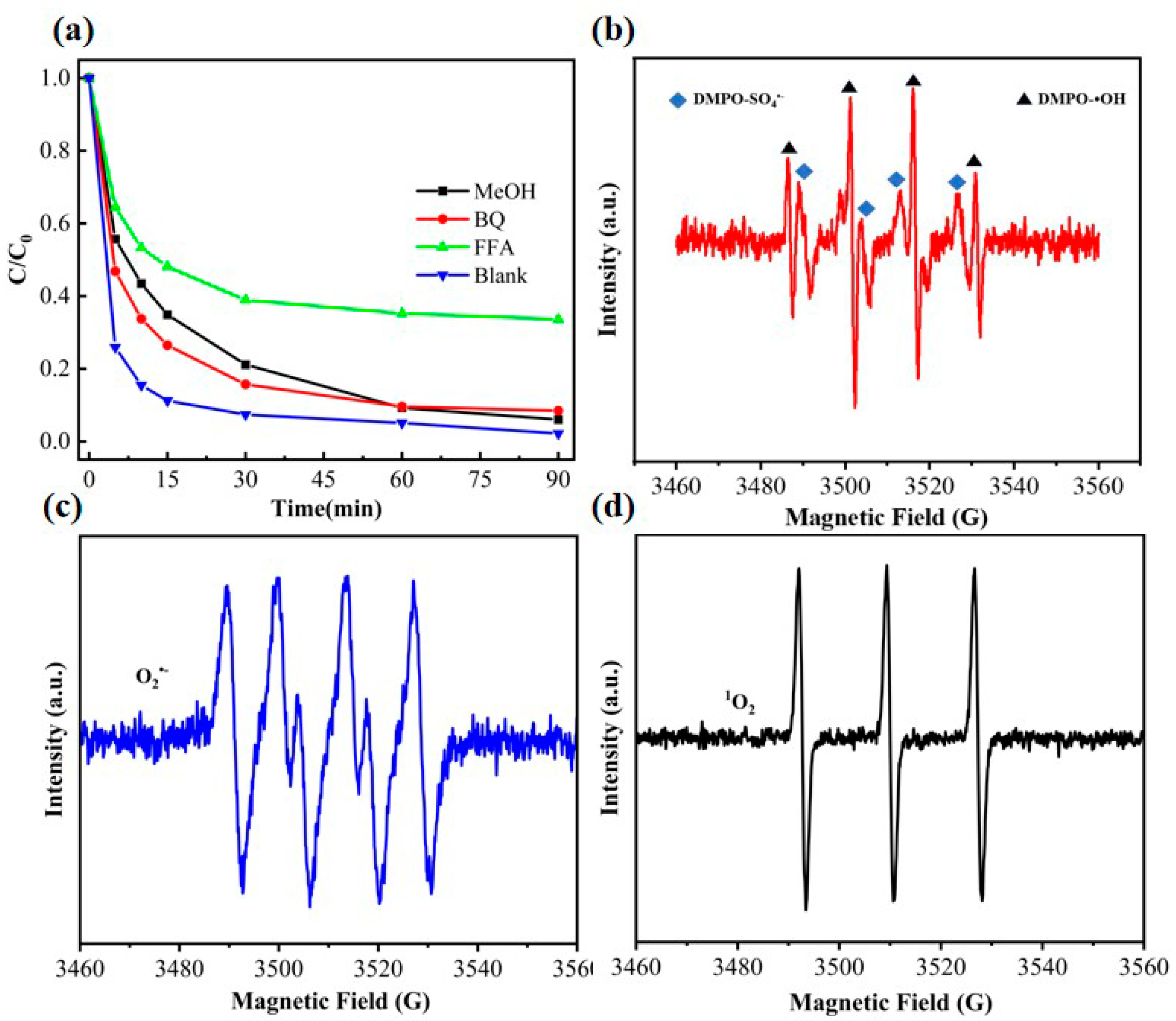 Nanomaterials 15 00979 g007