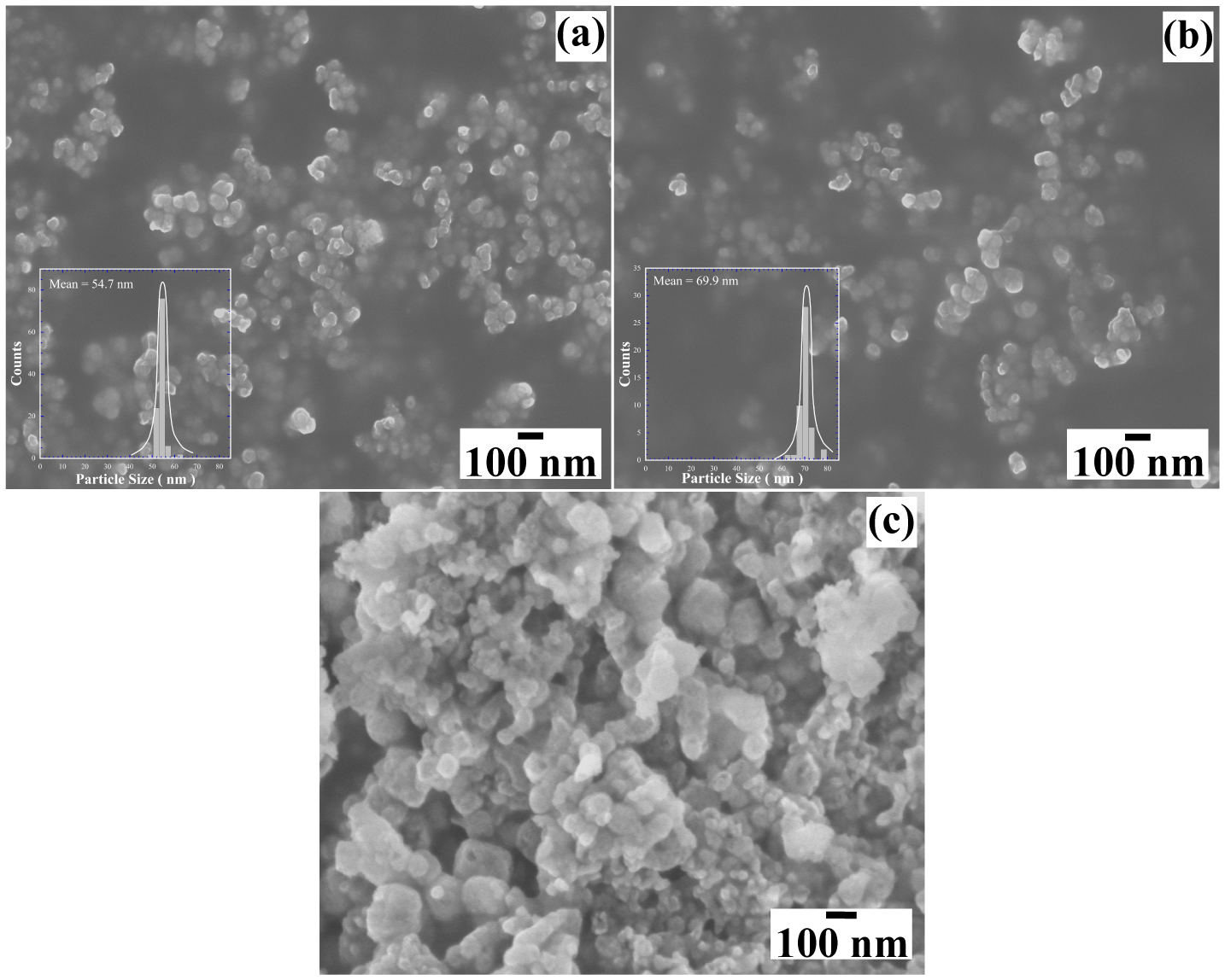 Nanomaterials 15 00982 g007