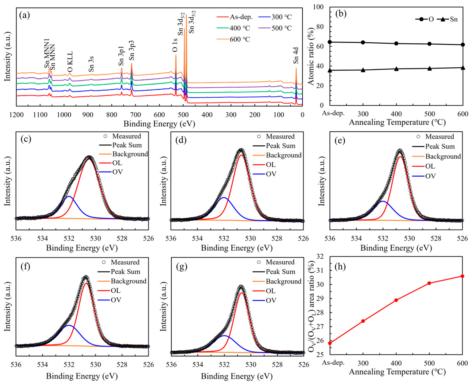 Nanomaterials 15 00986 g004